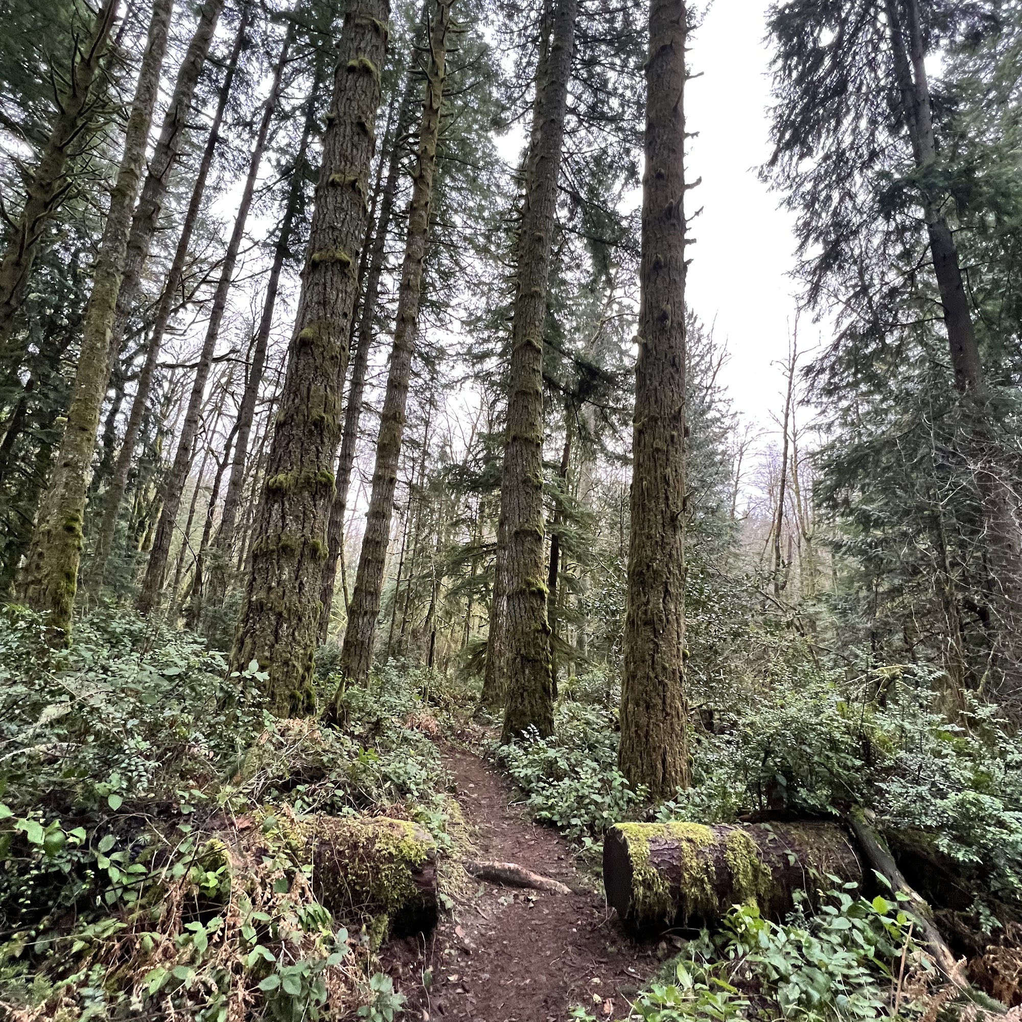 The Evergreen State College Organic Farm Olympia