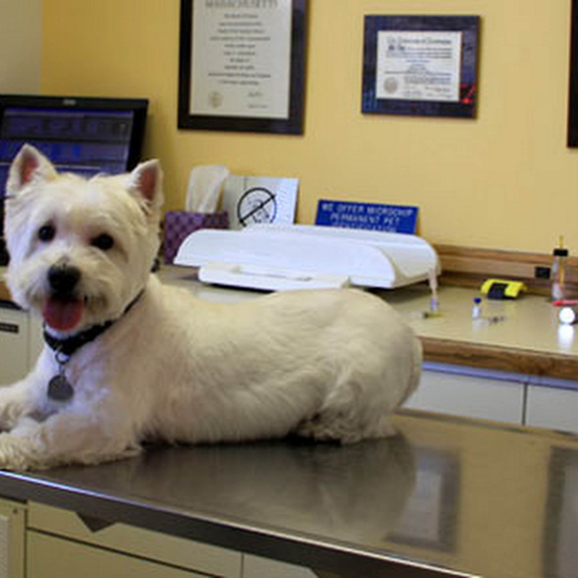 Animal Hospital of Omak Omak