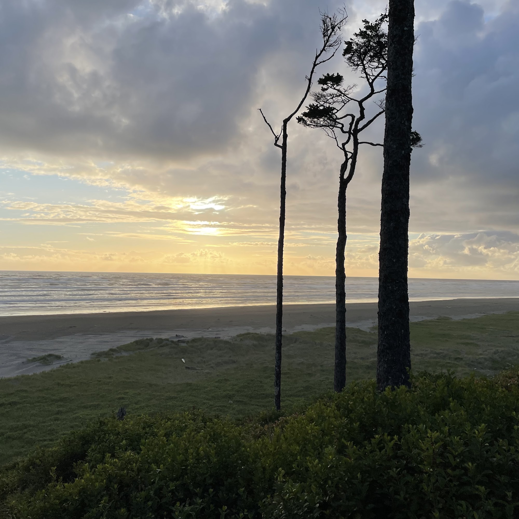 Koko's Restaurant and Tequila Bar Pacific Beach