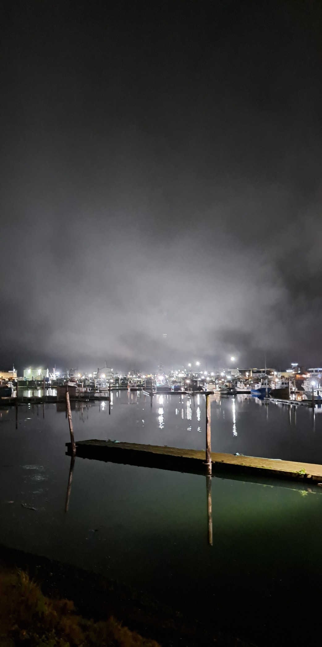 Cliff Droppers Packwood