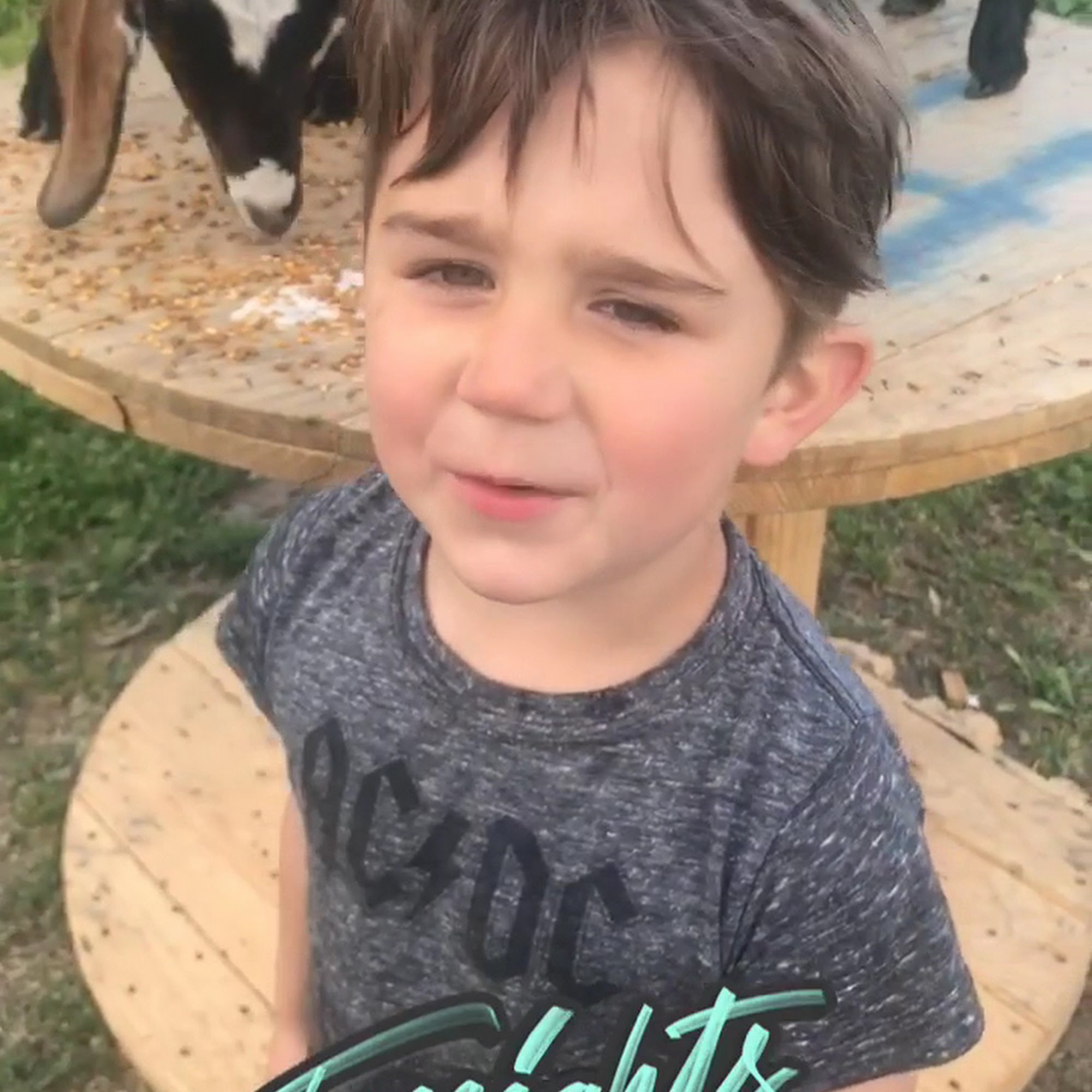 Double Arrow Veterinary Clinic Pasco