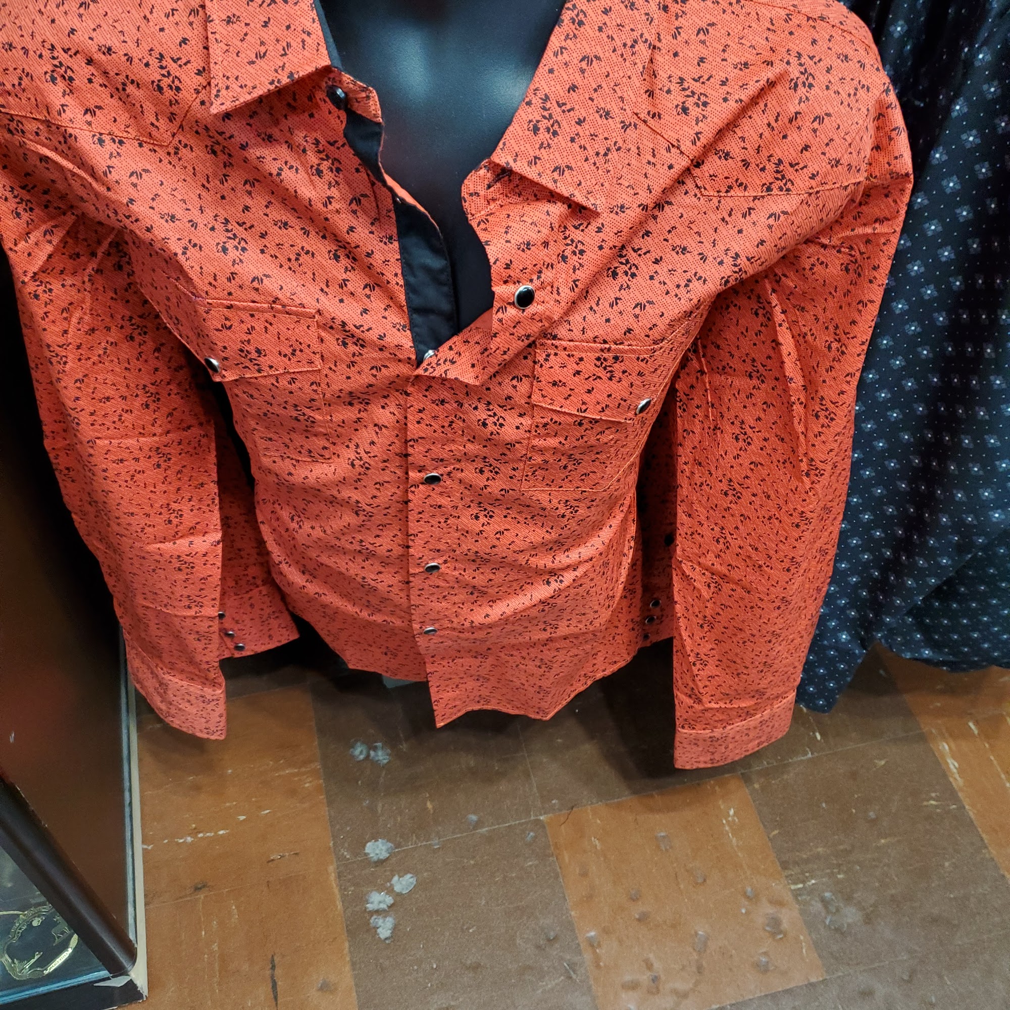 La vaquerita de pasco Pasco