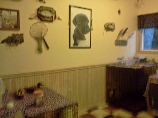 Paw Prince Port Angeles