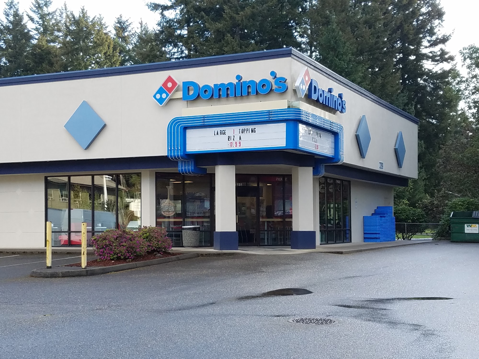Domino's Pizza