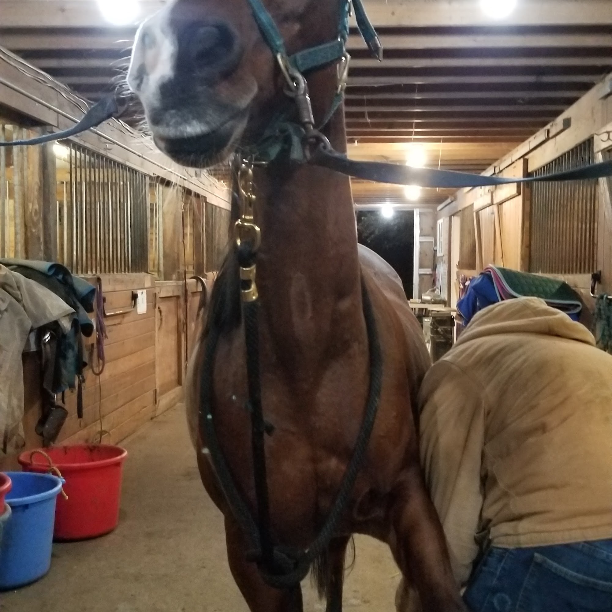 Southworth Equestrian Center Port Orchard