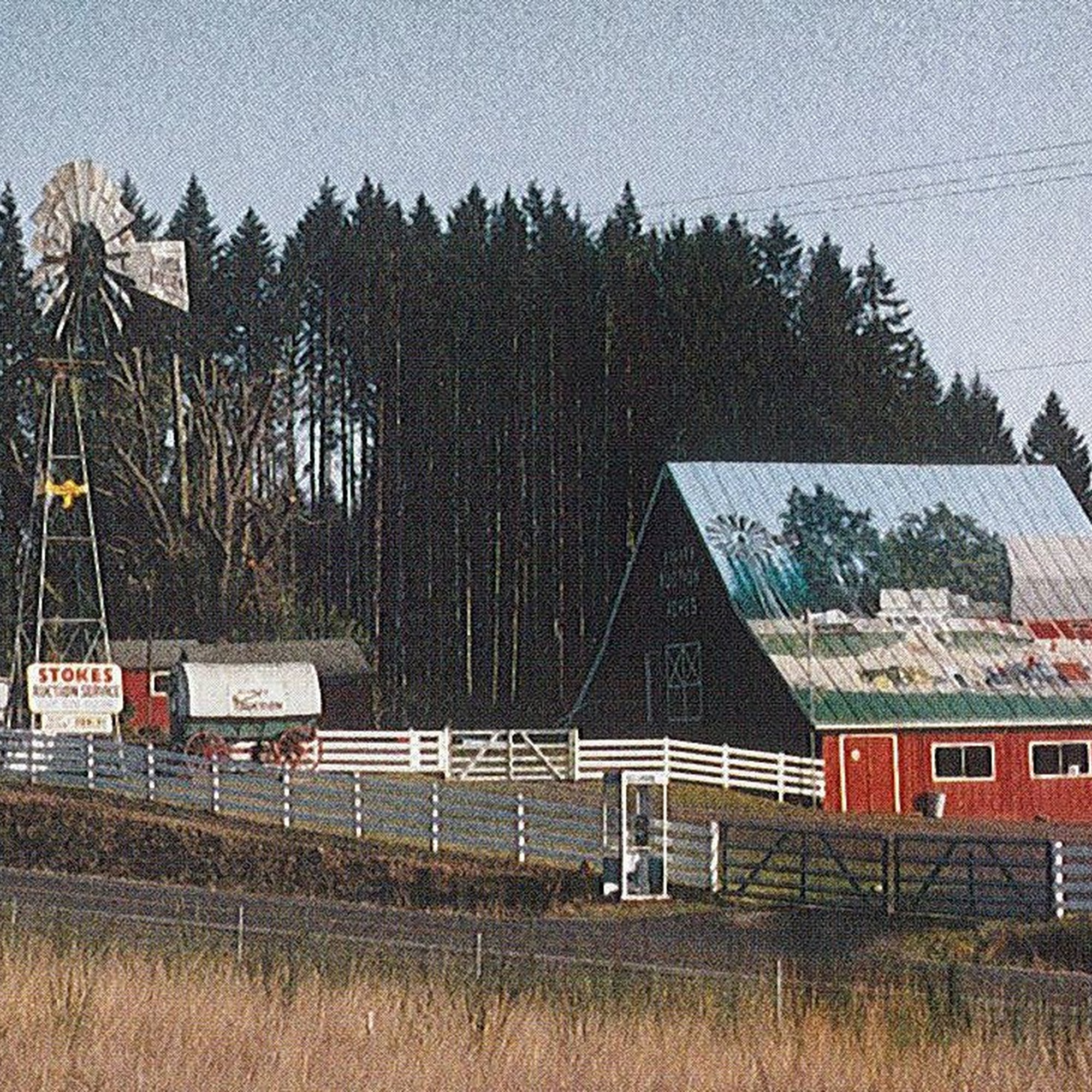 Stokes Auction Port Orchard