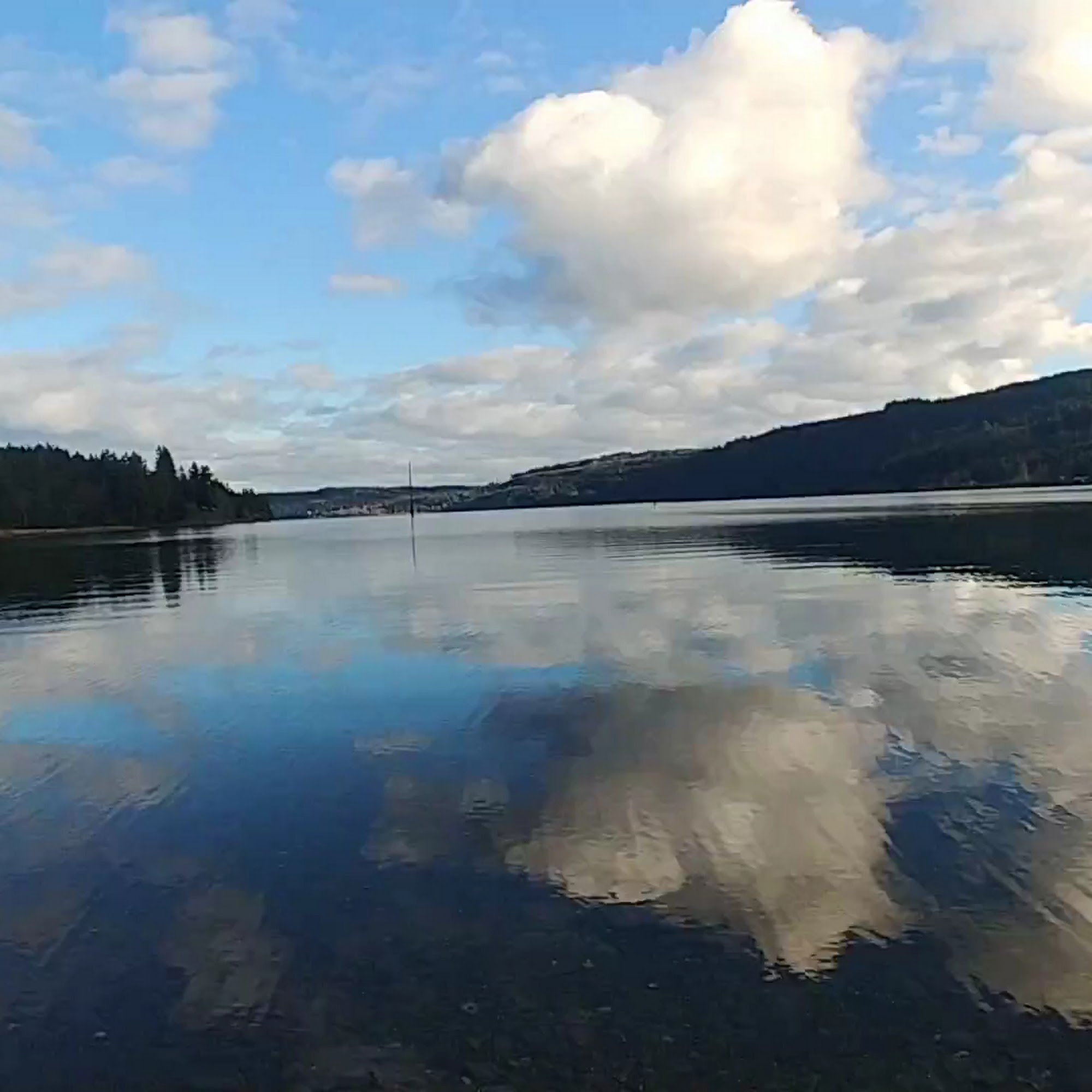 Discovery Bay Cannabis Port Townsend
