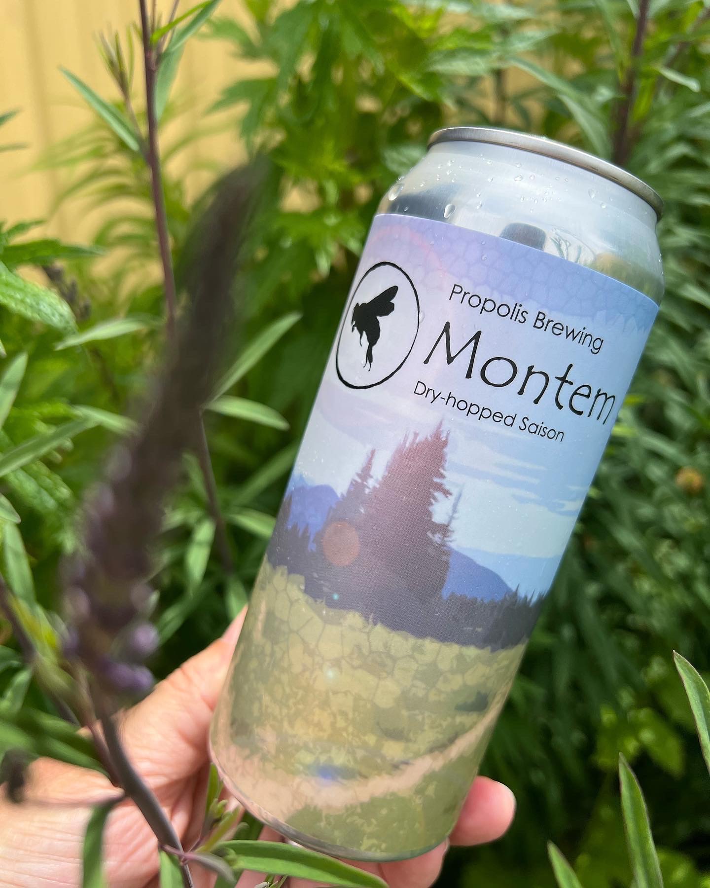 Propolis Brewing Port Townsend