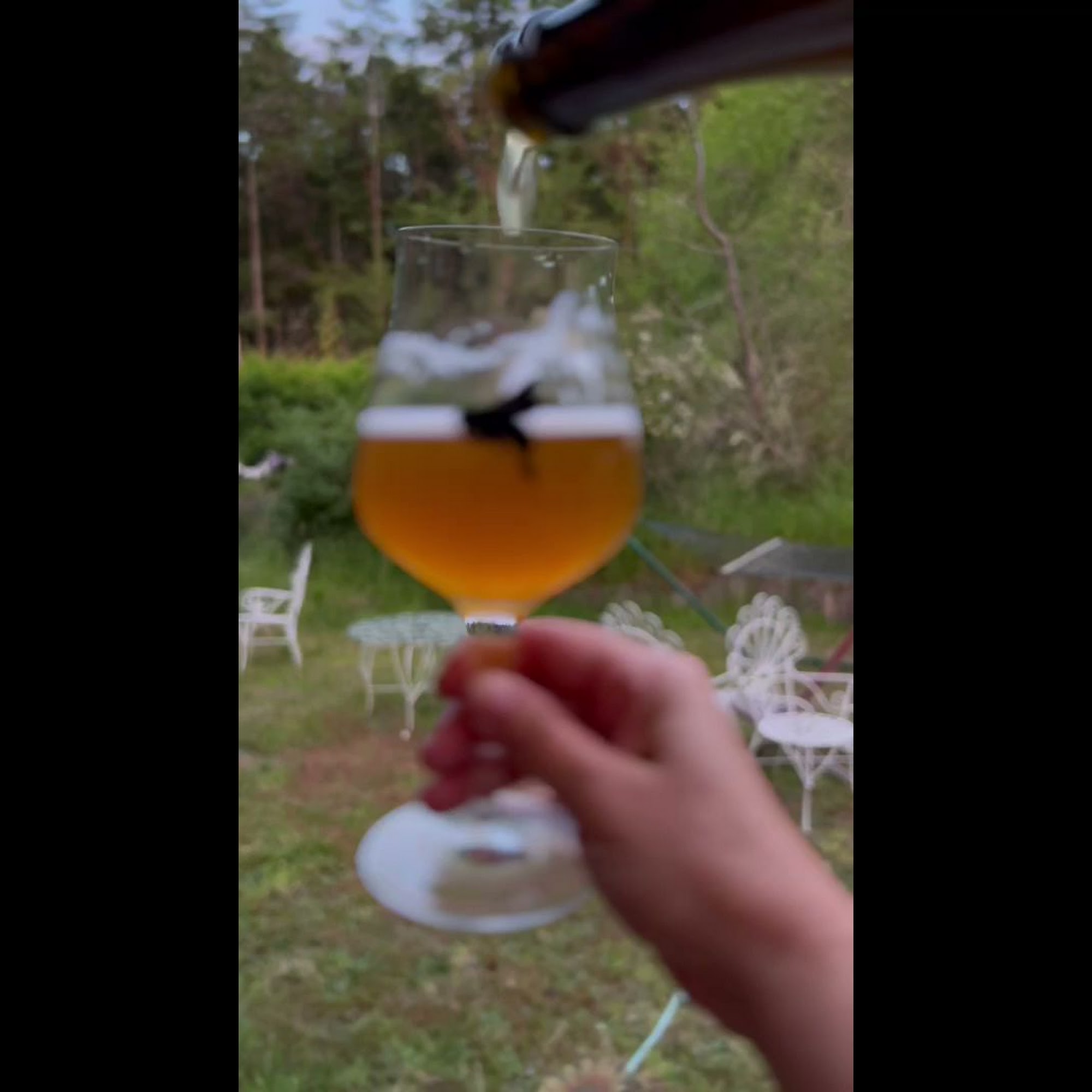 Propolis Brewing Port Townsend