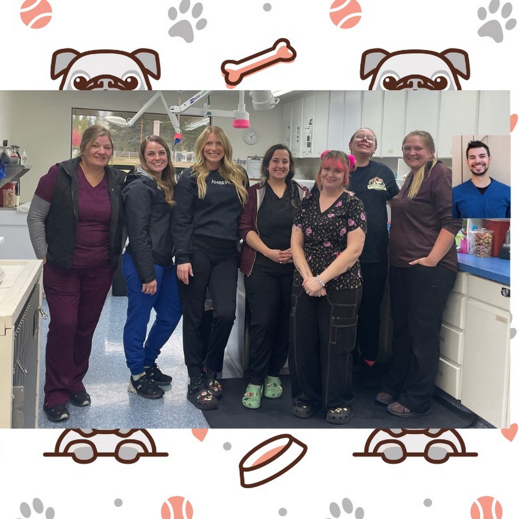 Central Valley Animal Hospital Poulsbo