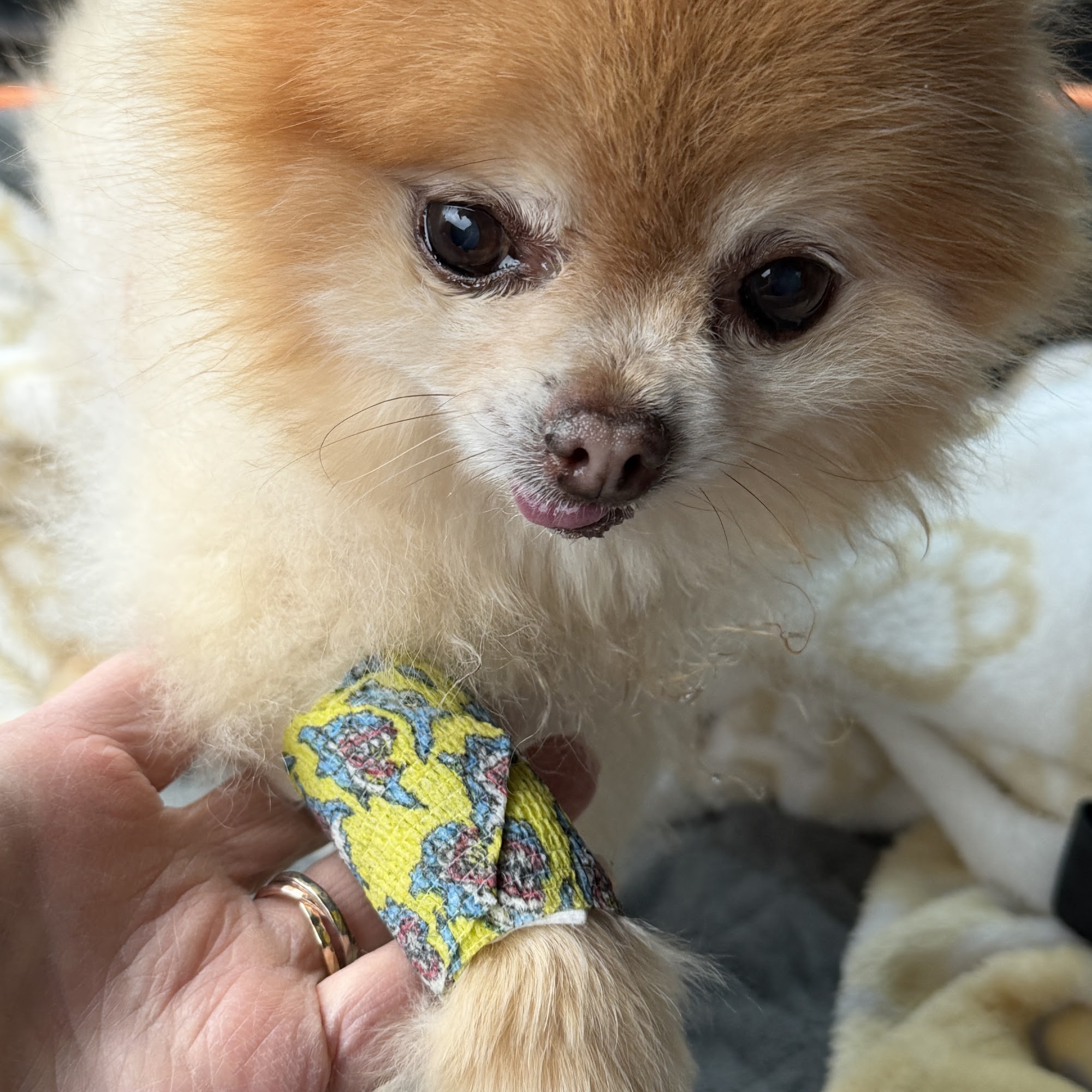 Poulsbo Marina Veterinary Clinic Poulsbo