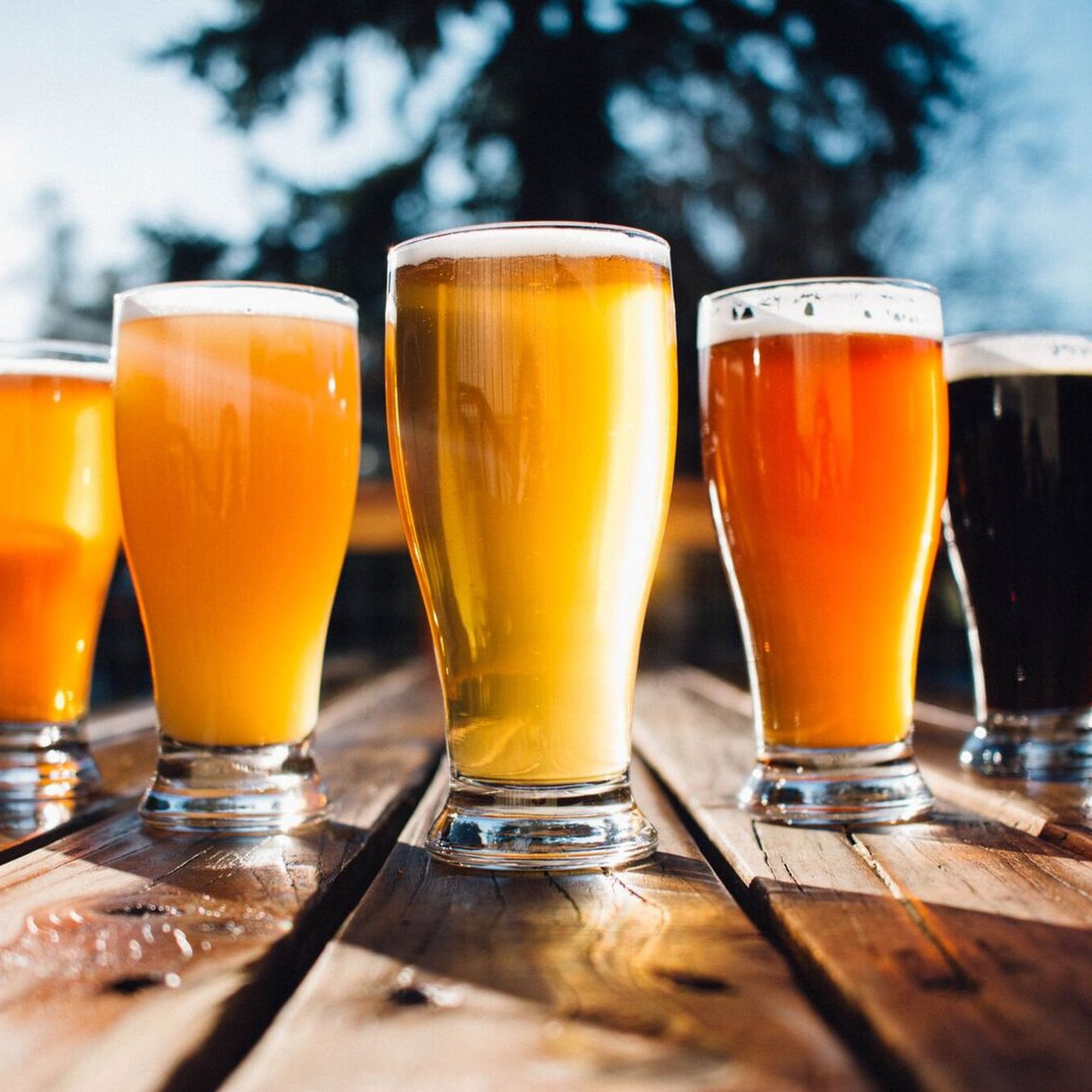 Rainy Daze Brewing Poulsbo