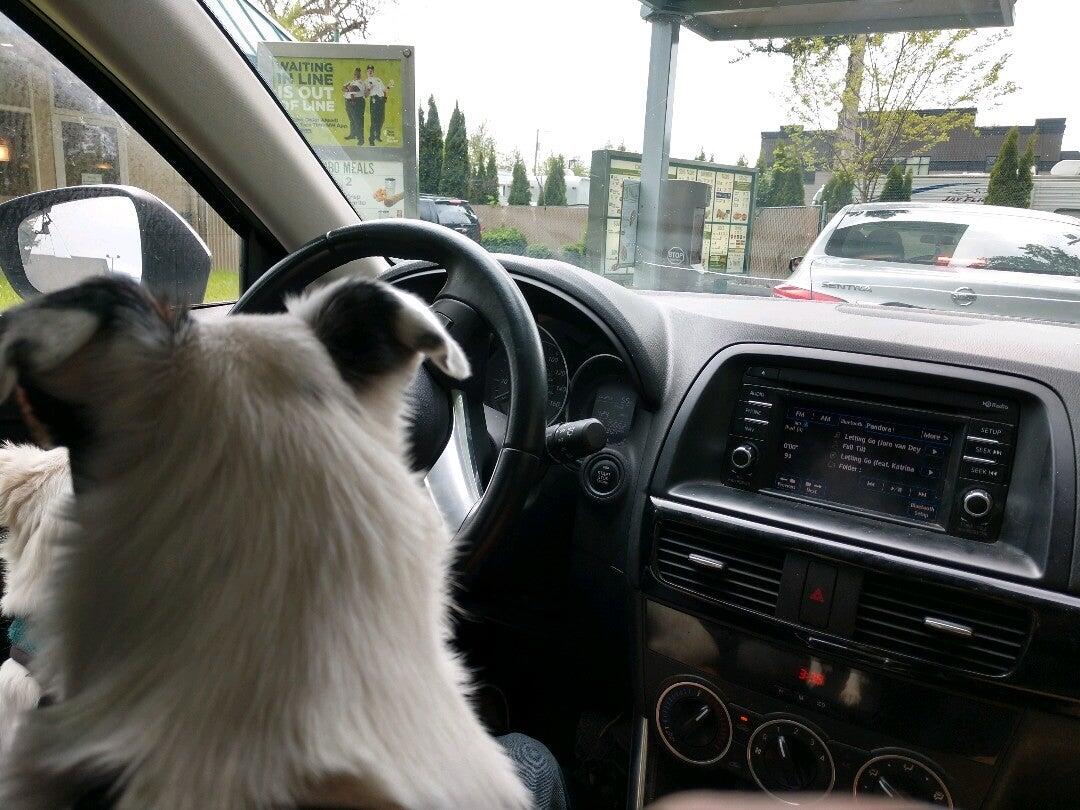 Photo credit: nextdoor