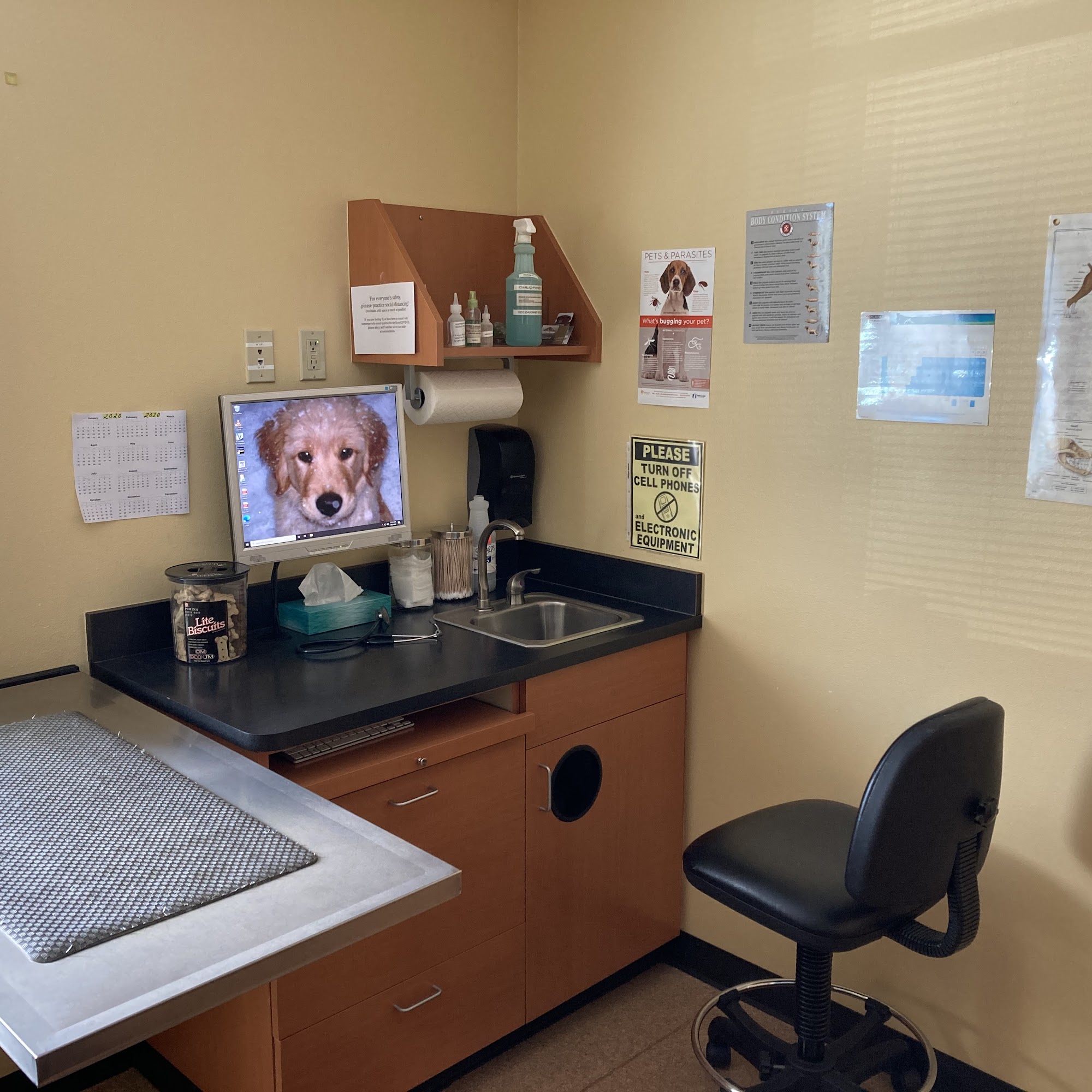 Canyon Road Veterinary Hospital Puyallup