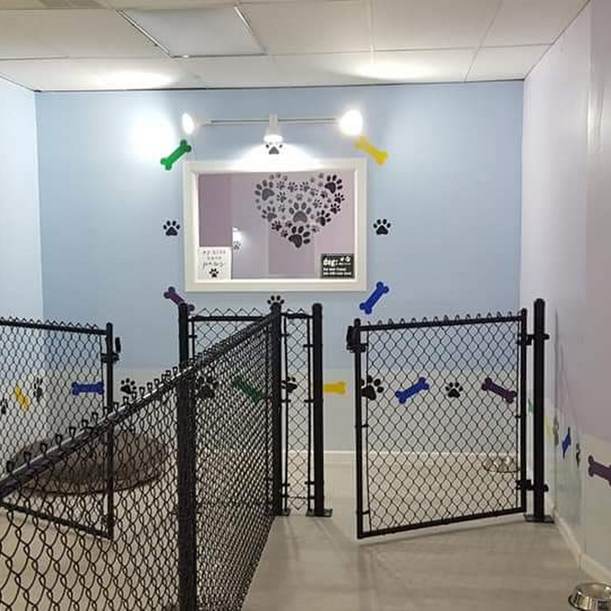 Hot Diggity Dog Doggie Daycare Puyallup