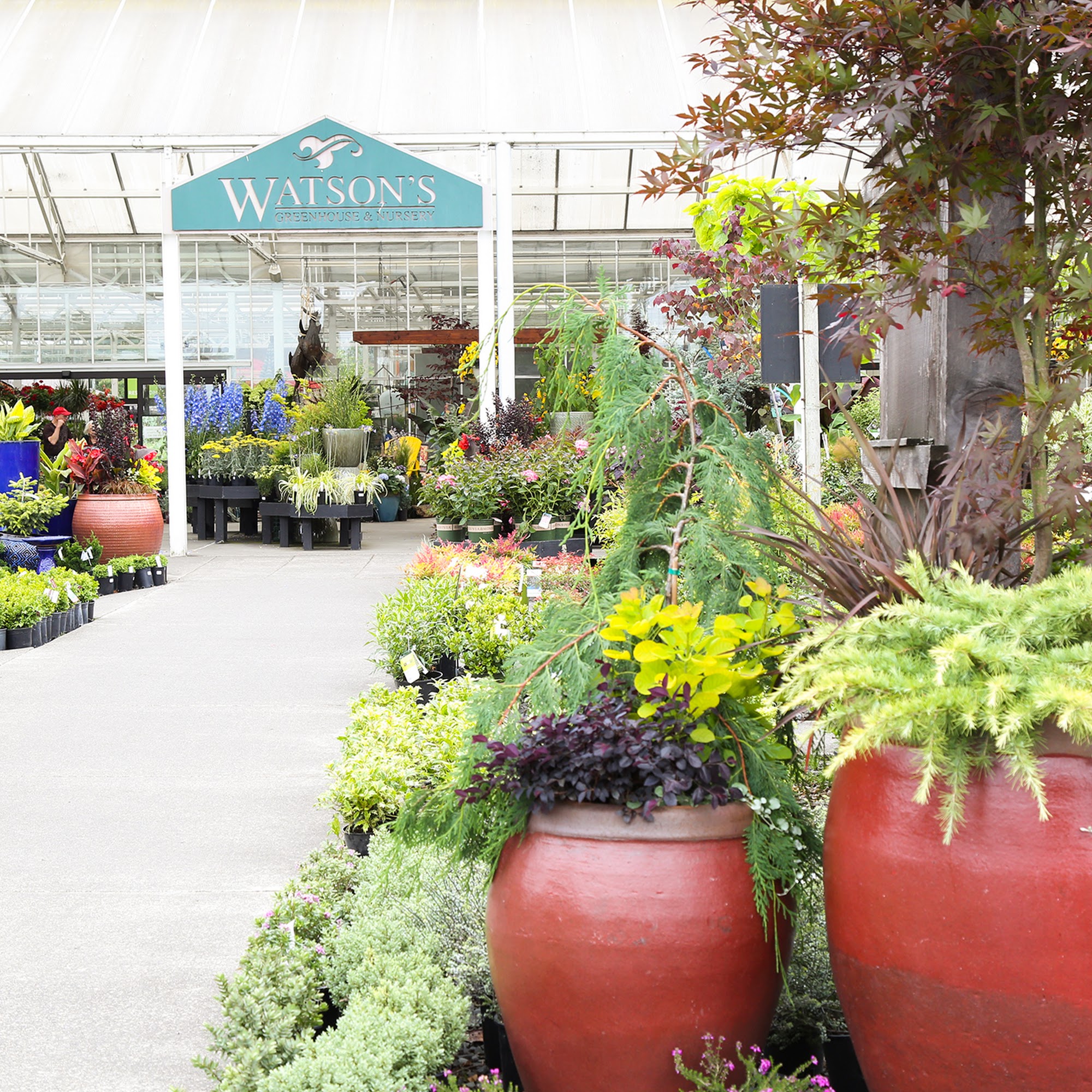 Watson's Greenhouse and Nursery Puyallup