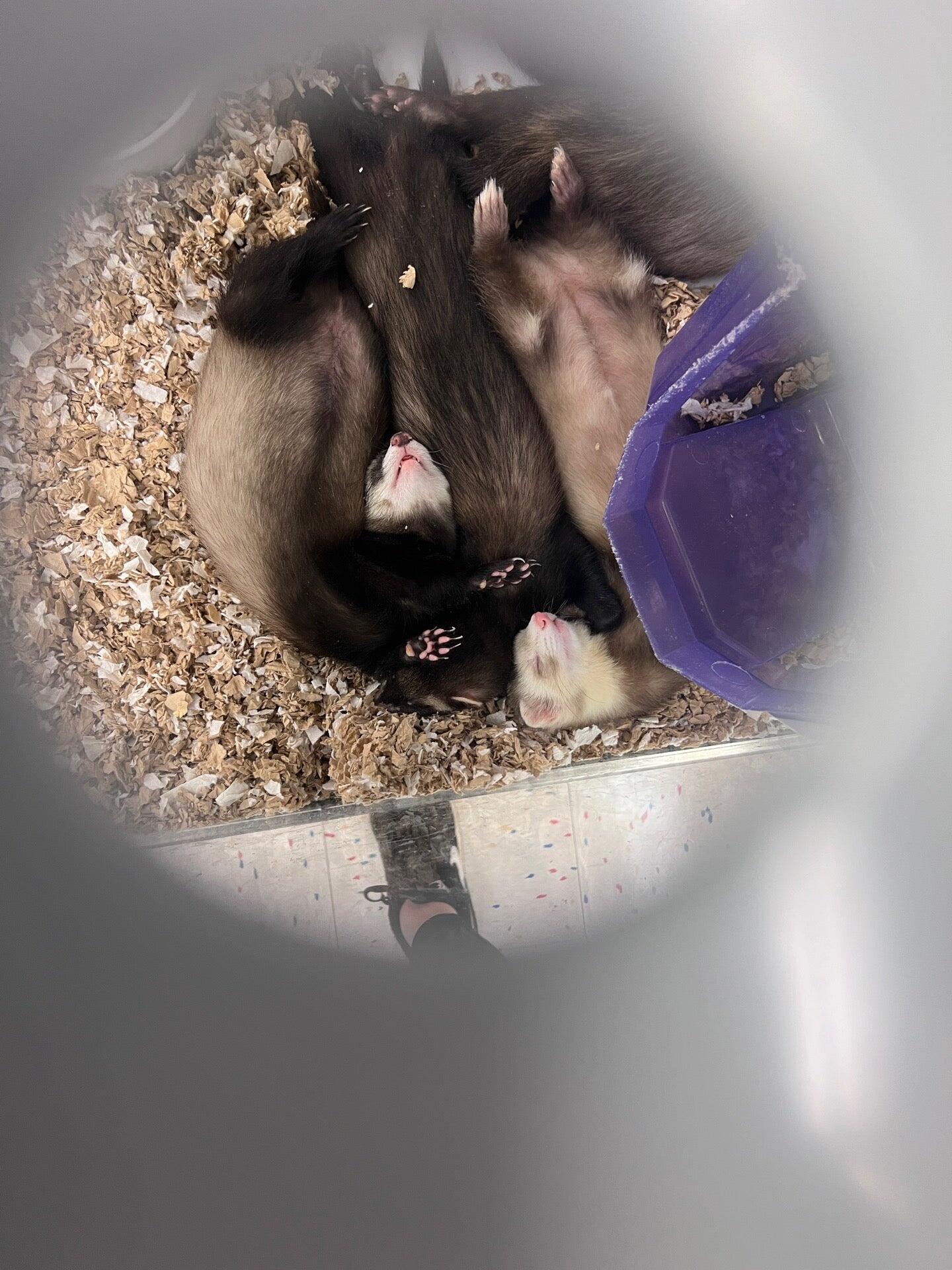 Photo credit: nextdoor