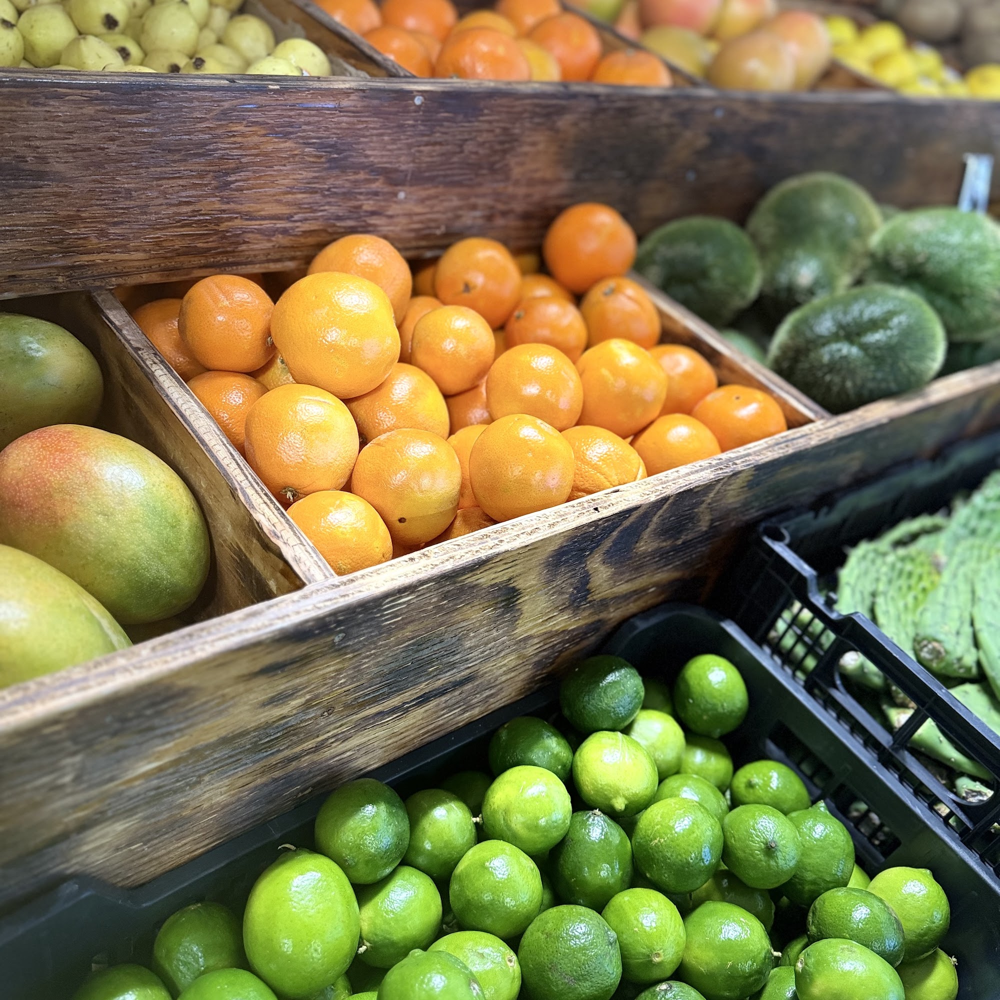 Mi Tiendita V7 Quincy