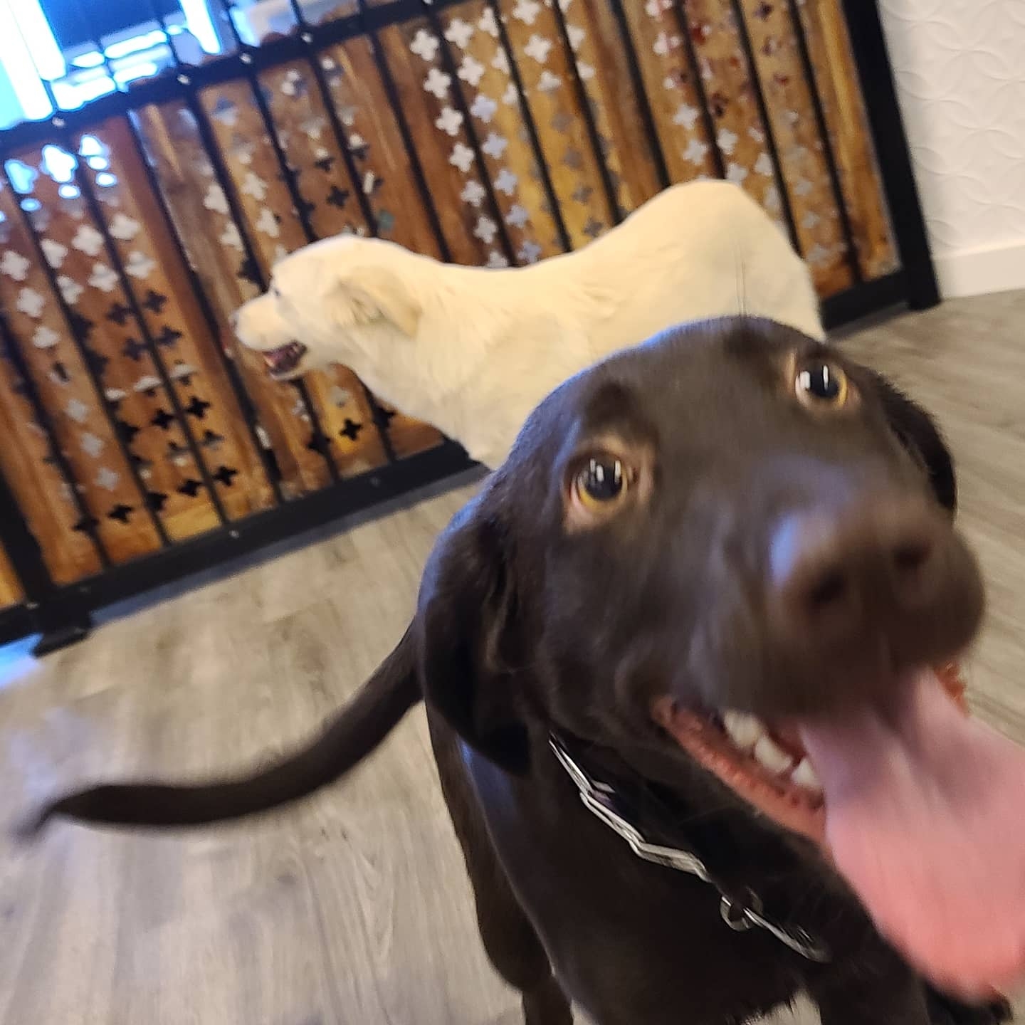 Pickles Playland Redmond