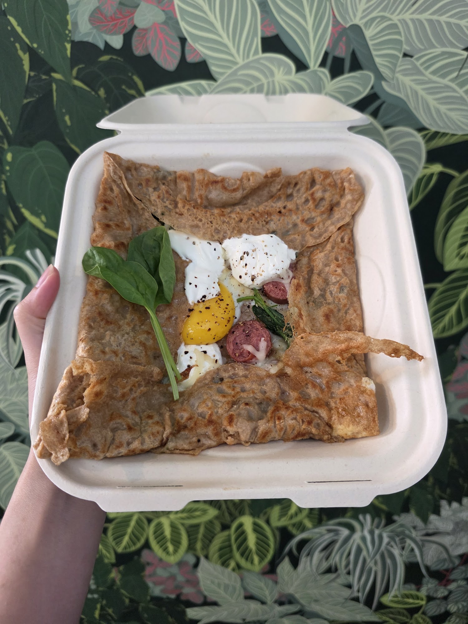 The Screaming Parrots Cafe Redmond