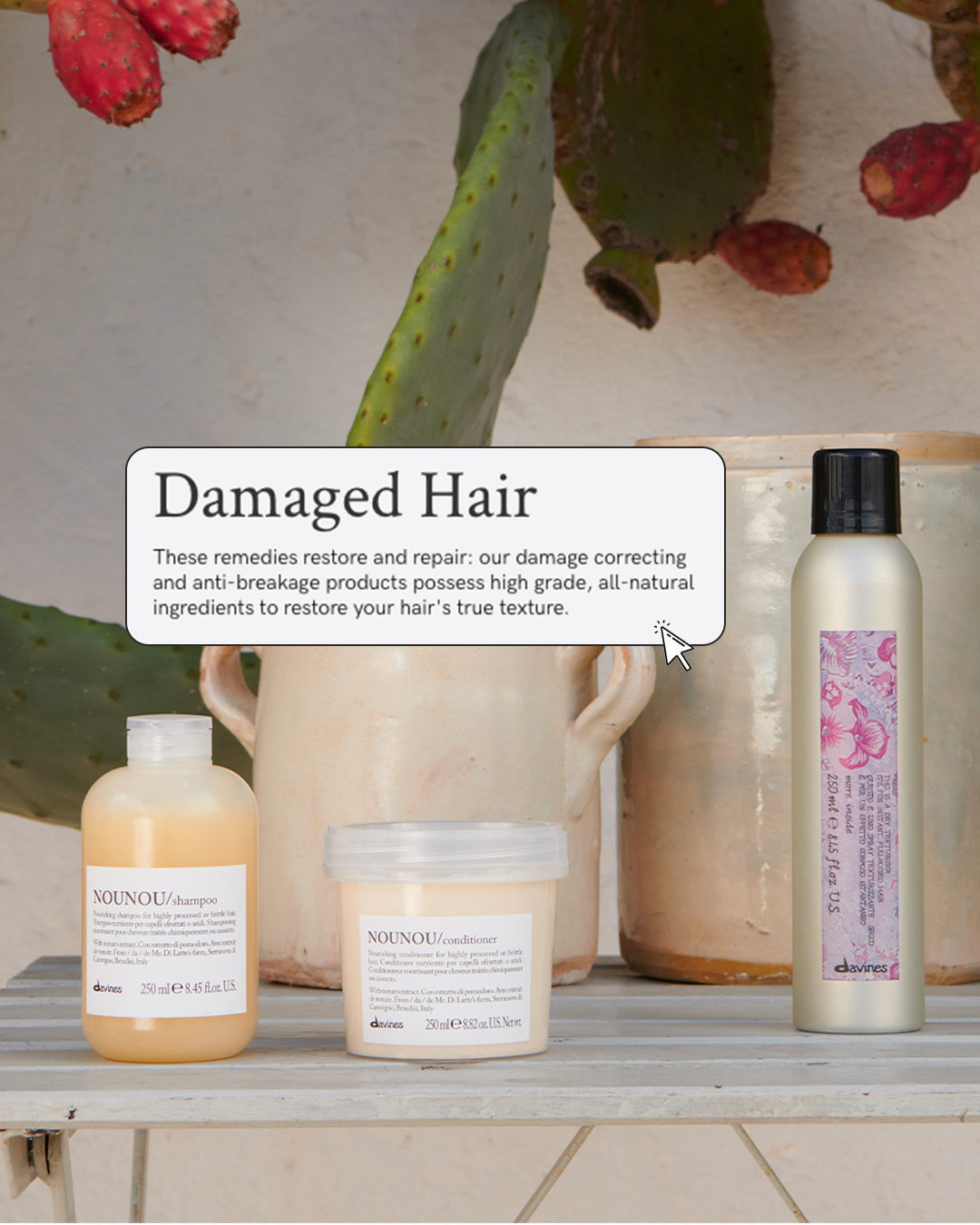 Sol Collective Salon 17215 Avondale Way, Redmond Washington 98052