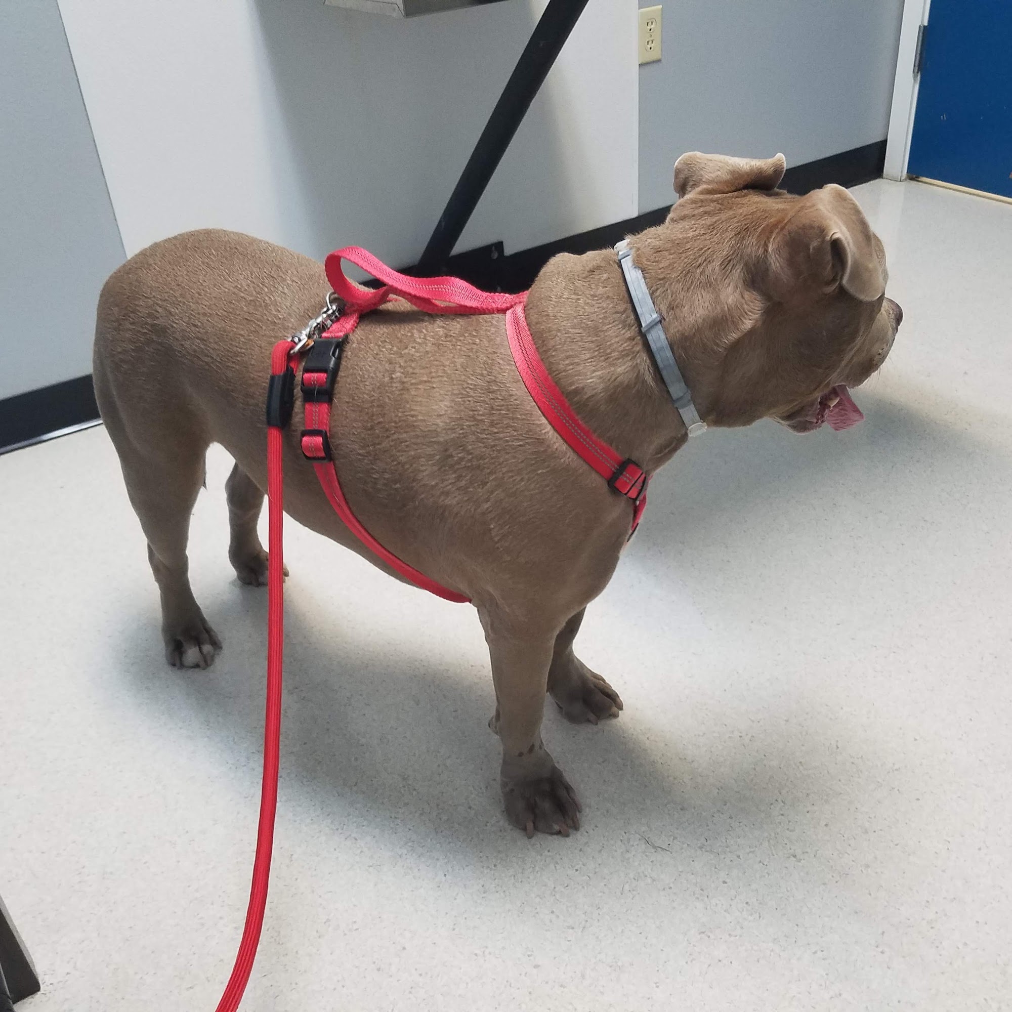 Renton Highlands Pet Clinic Renton