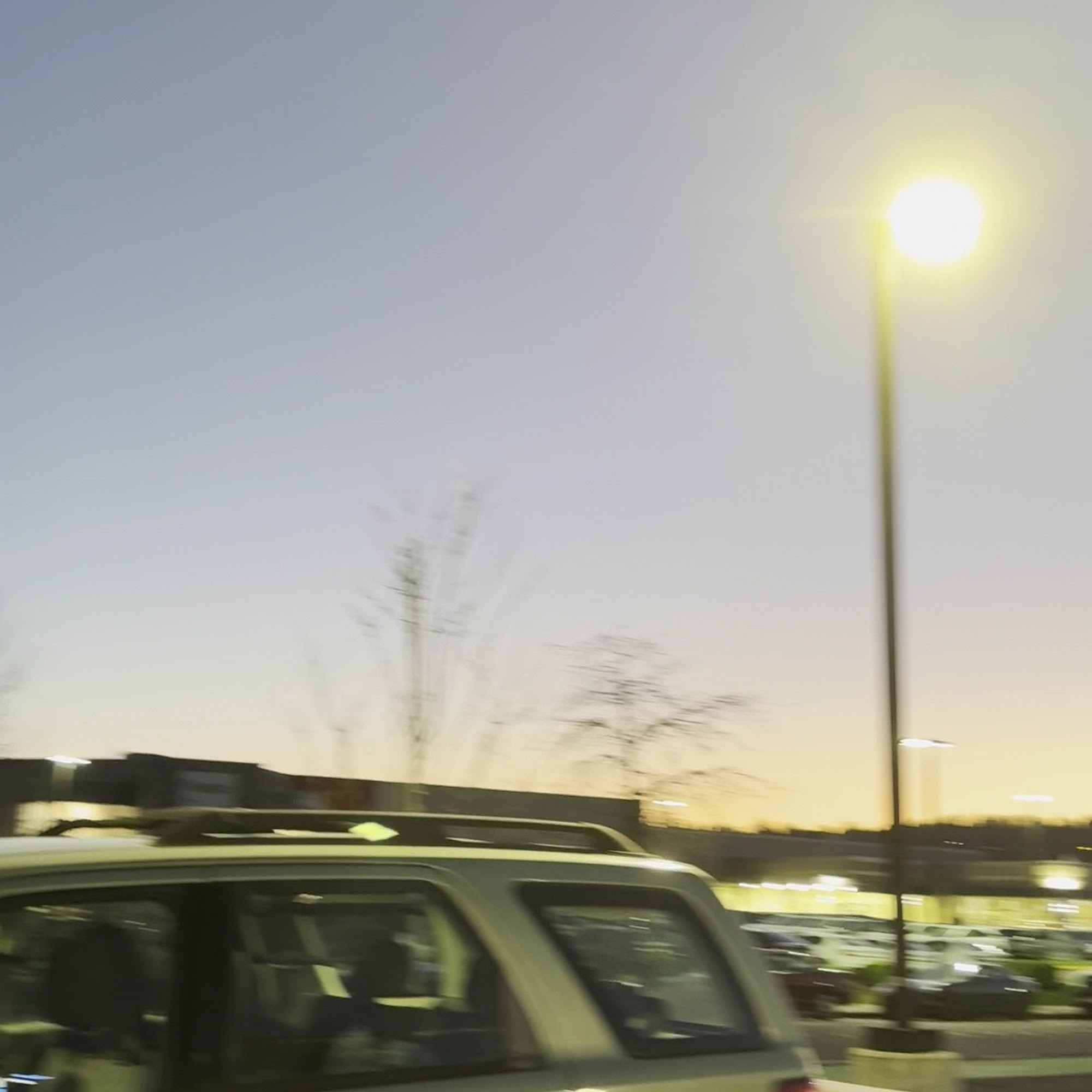 BluePearl Pet Hospital Renton