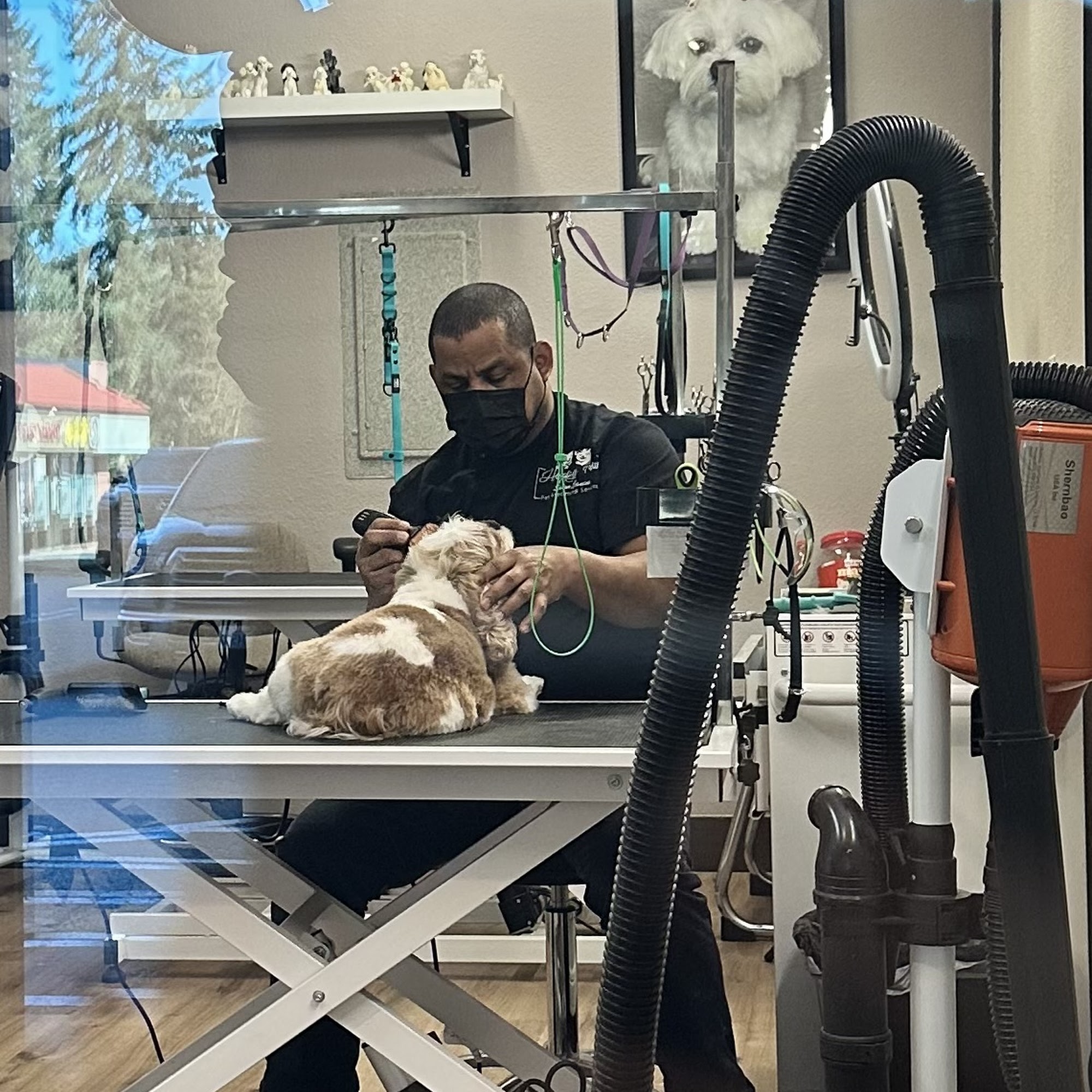 Happy Paws Salon Canino Renton