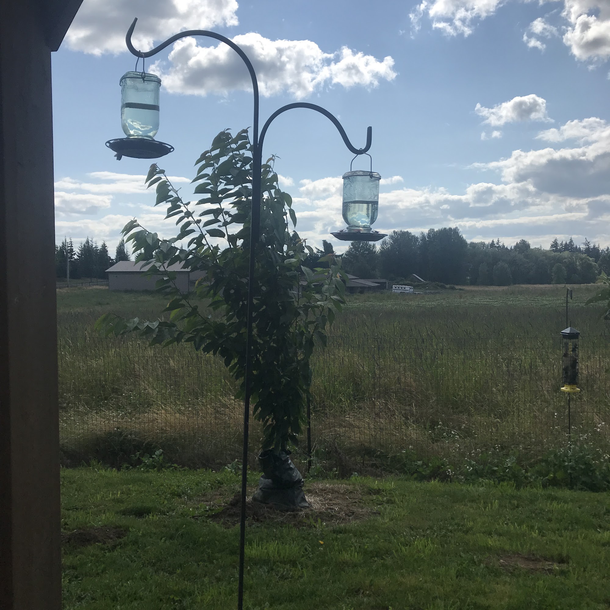 Gouger Cellars Winery & Restaurant Ridgefield