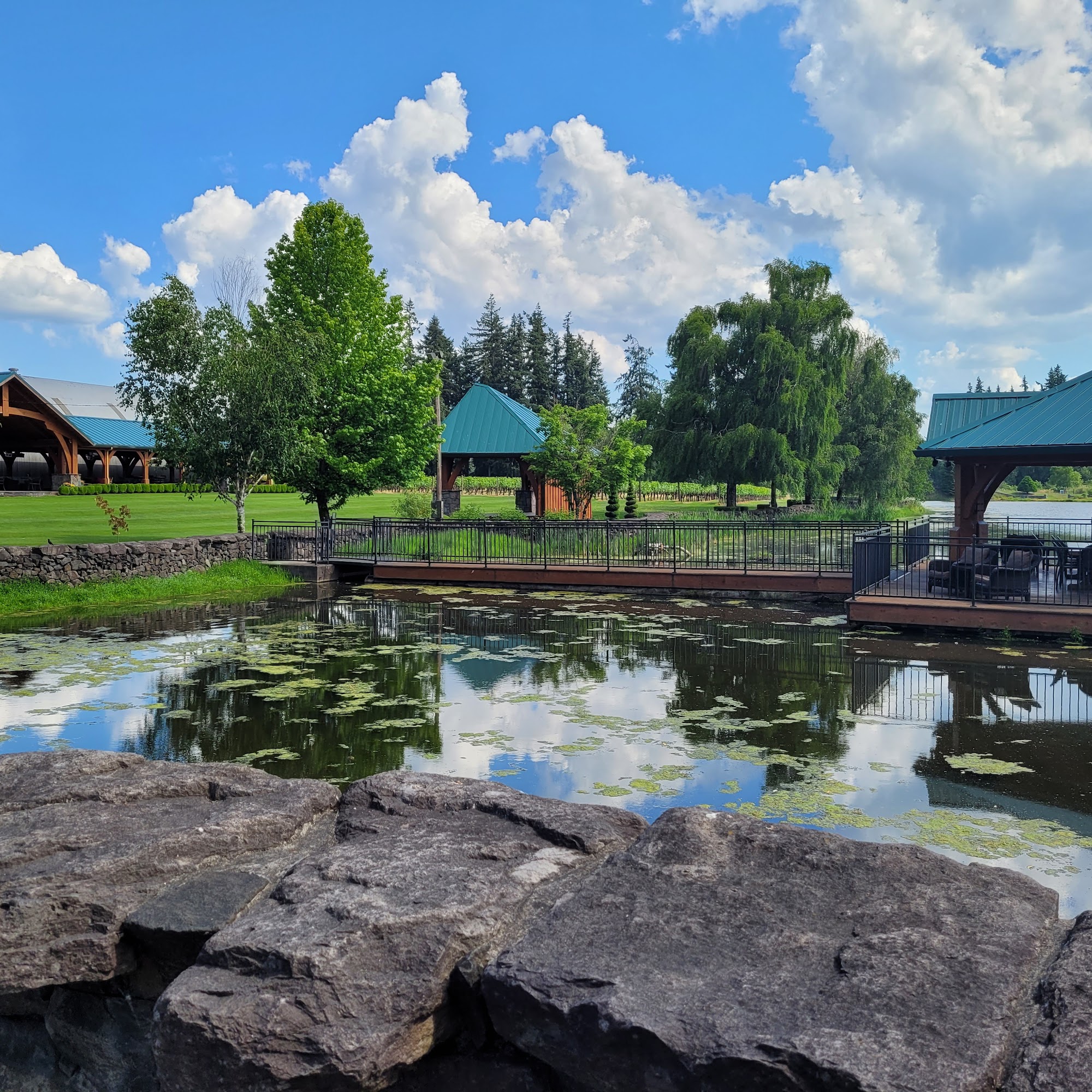 Bethany Vineyard & Winery Ridgefield