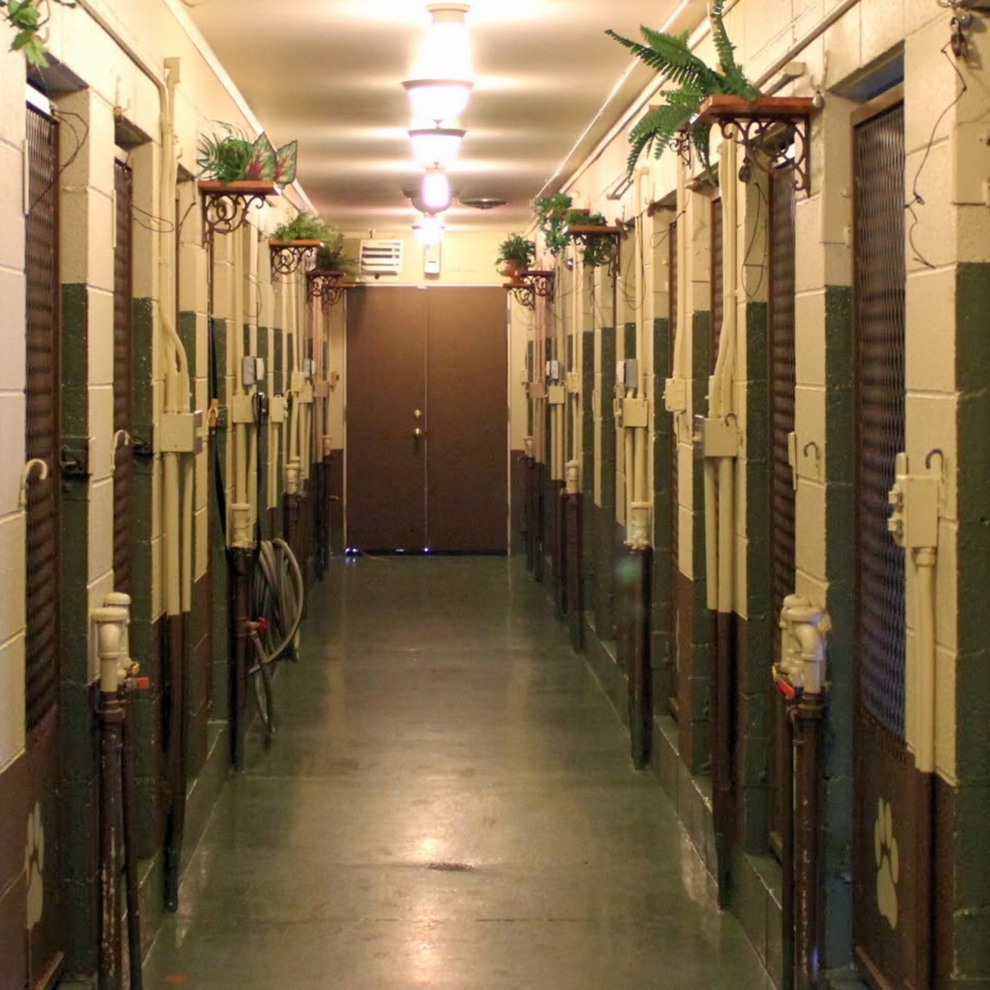 Waldorf Kennels Ridgefield