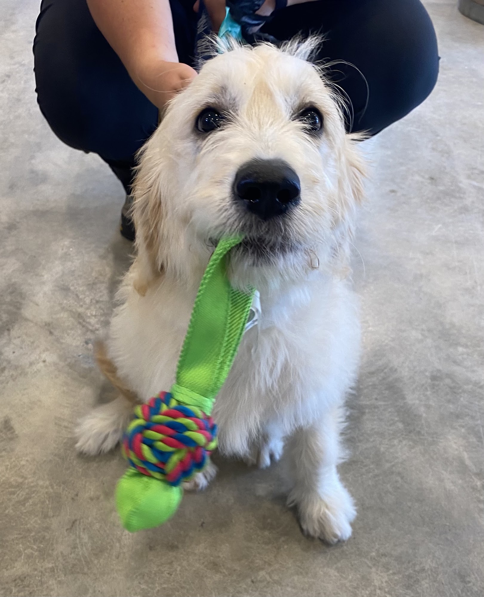 Woodin You Ridgefield