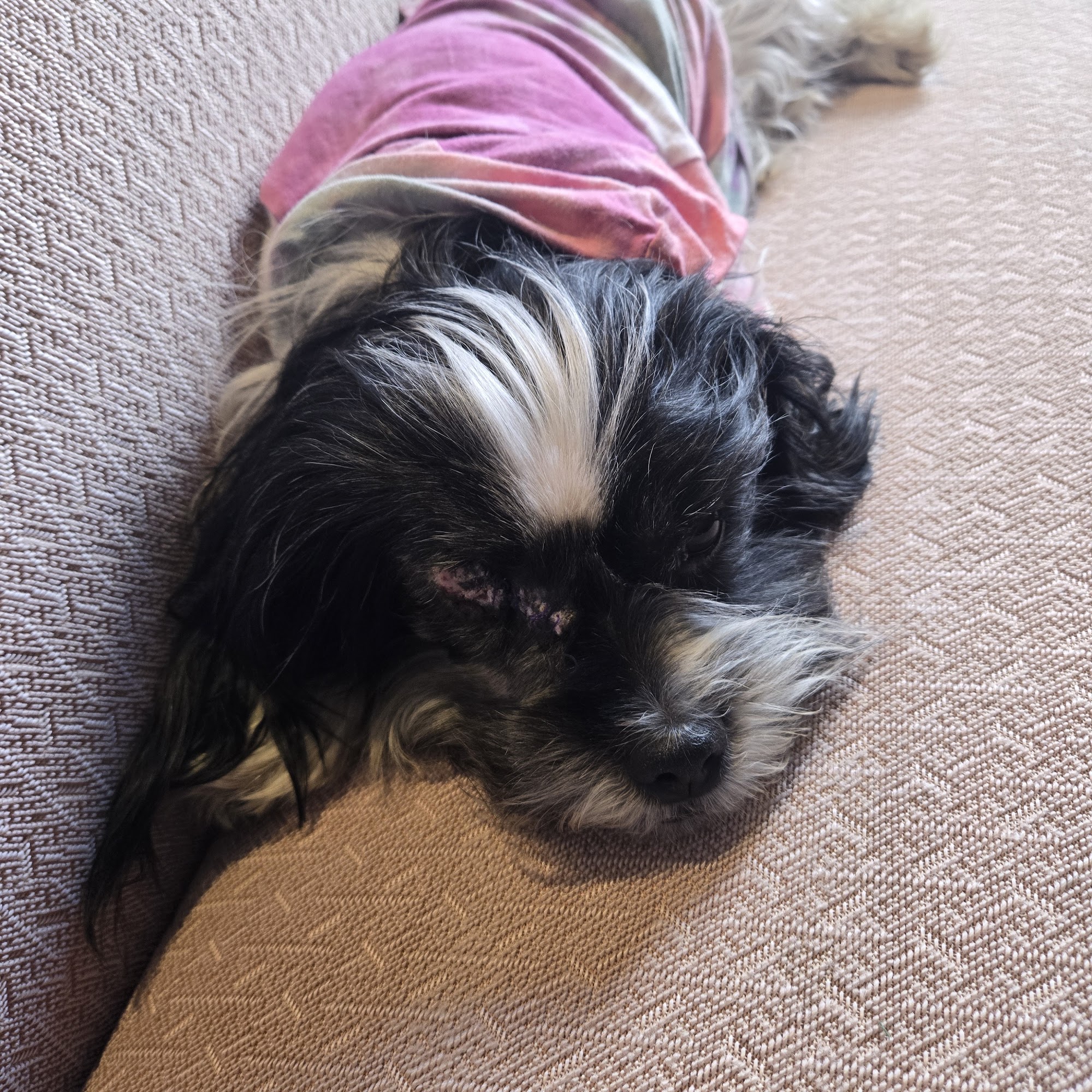 Ritzville Veterinary Clinic Ritzville