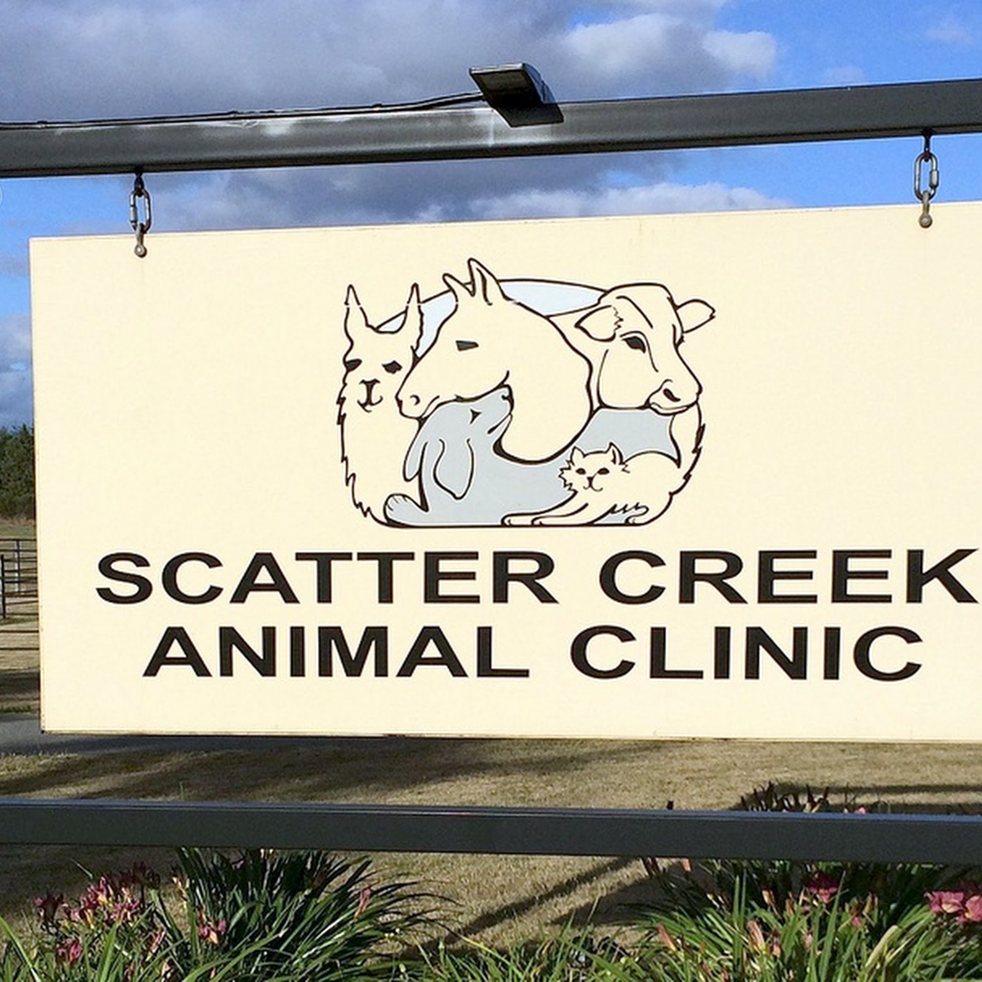 Scatter Creek Animal Clinic Rochester