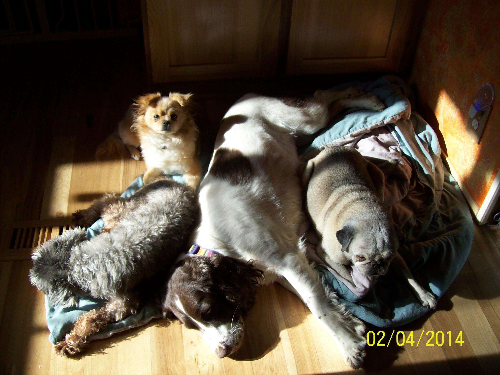 Photo credit: nextdoor