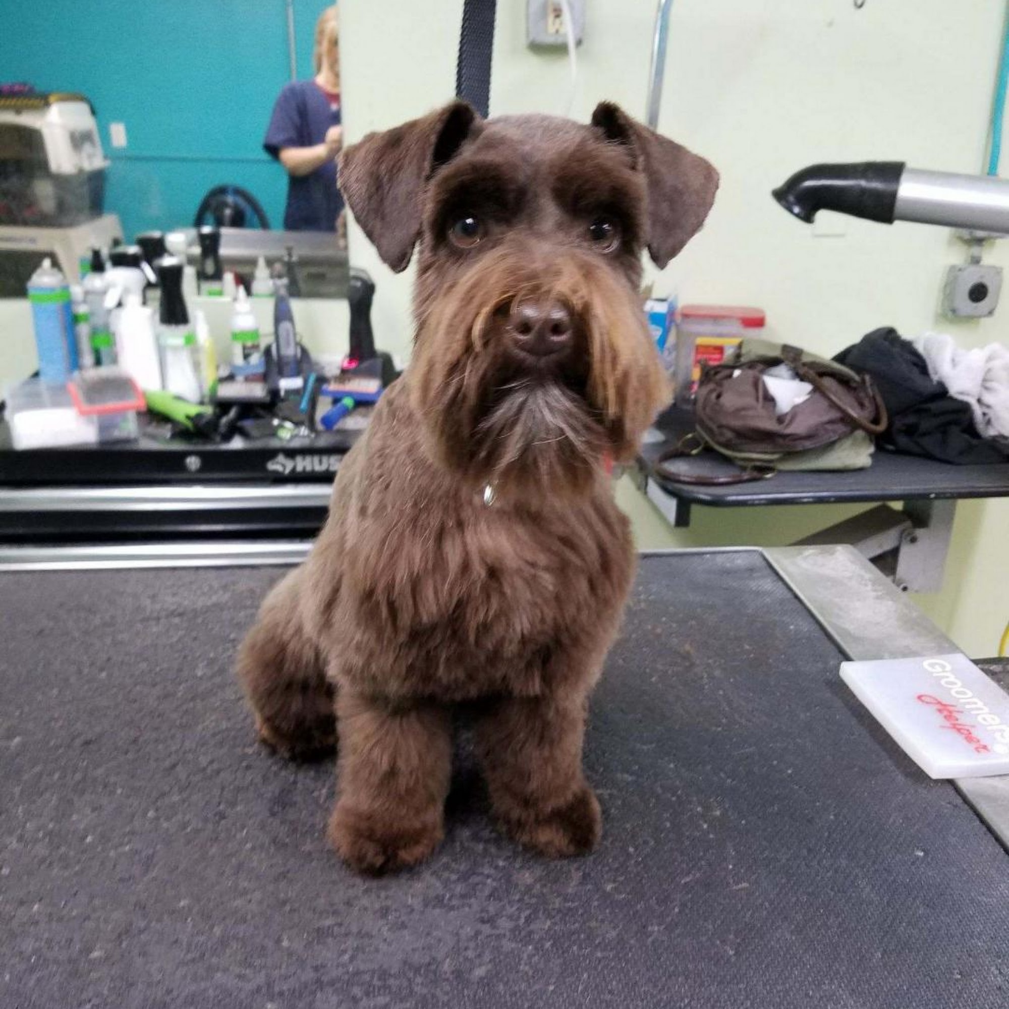 Camp Union Pet Lodge Seabeck