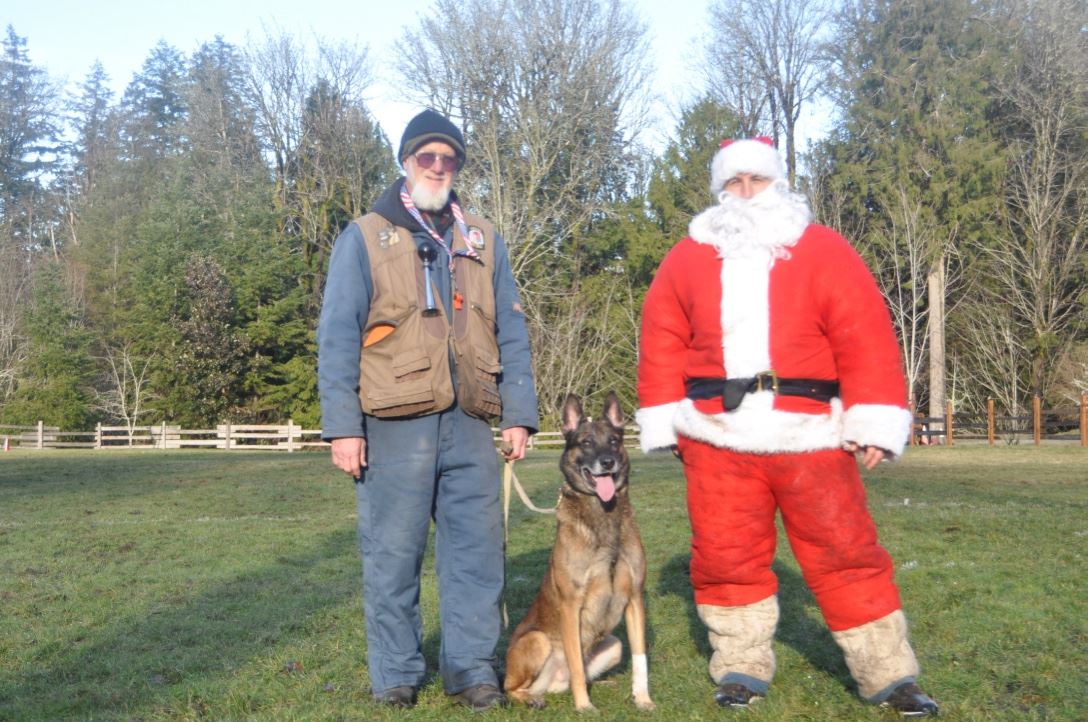 All Motivational Dog Training