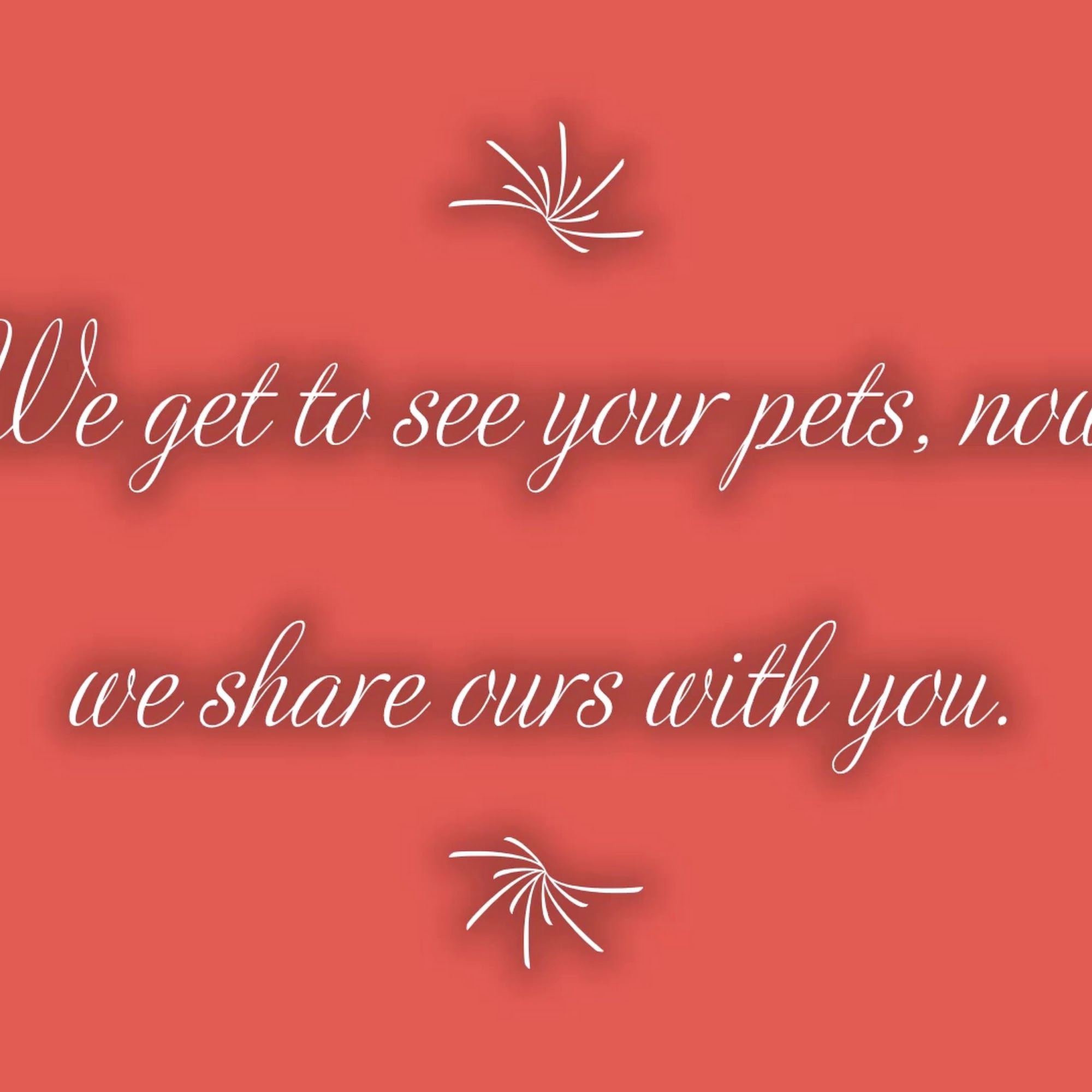 Pet Care Center at Luna Park Seattle