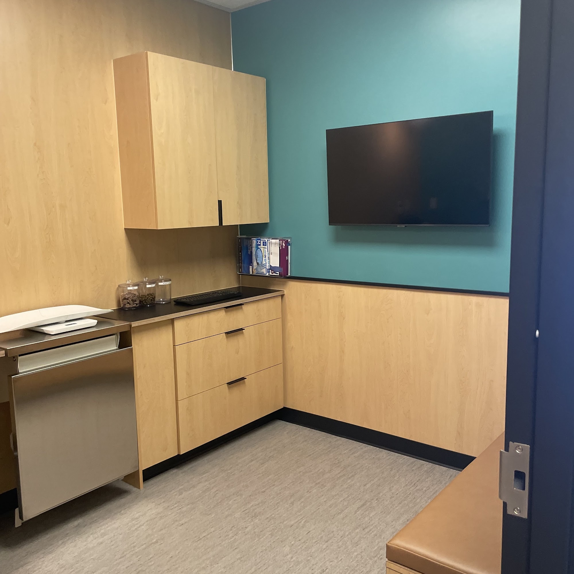 Mercer Street Veterinary Hospital Seattle