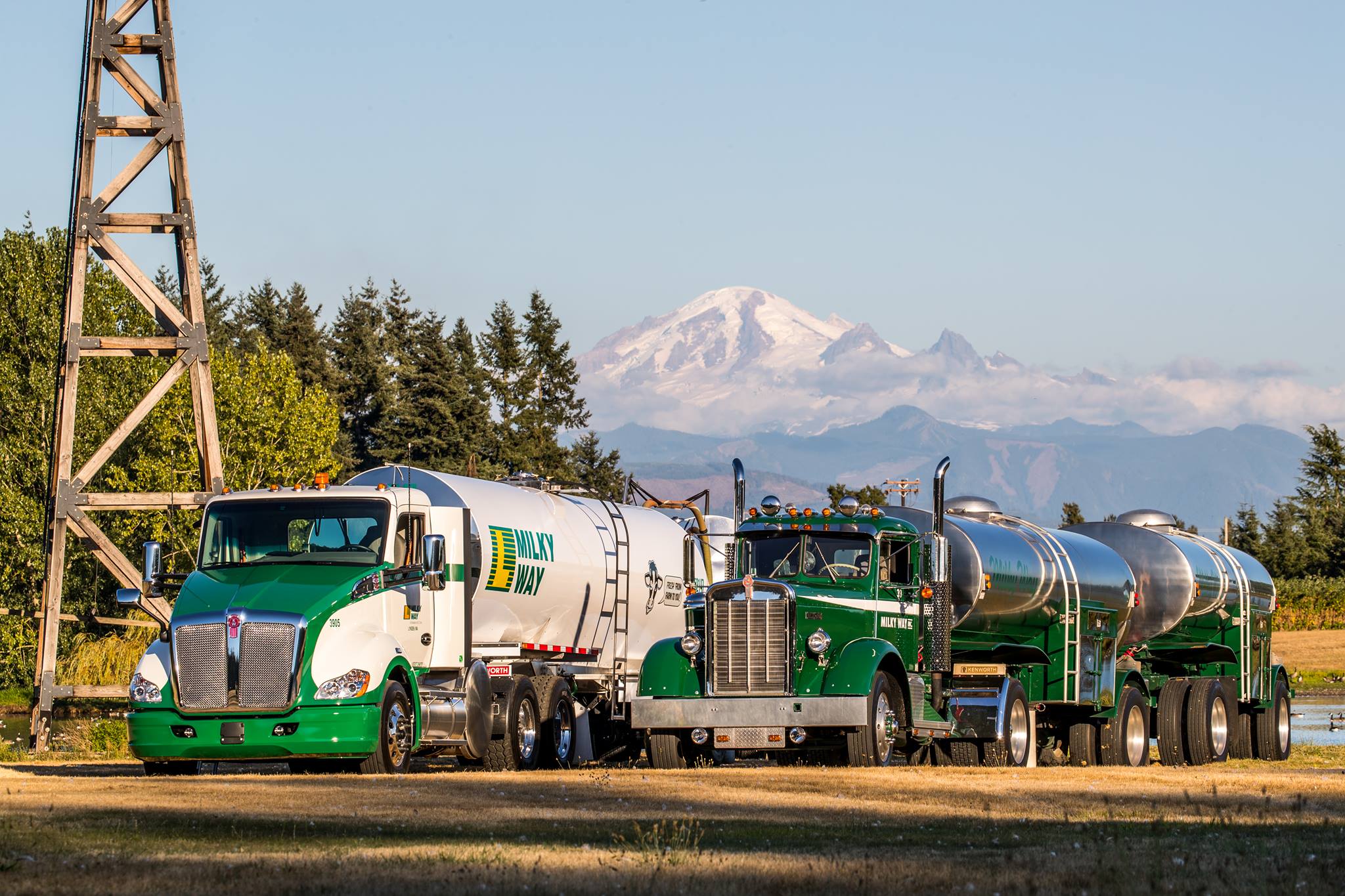 LTI, Inc./Milky Way Yard