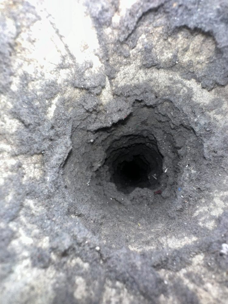 Seattle U Dryer Vent Cleaning & Air Duct Cleaning Services, WA