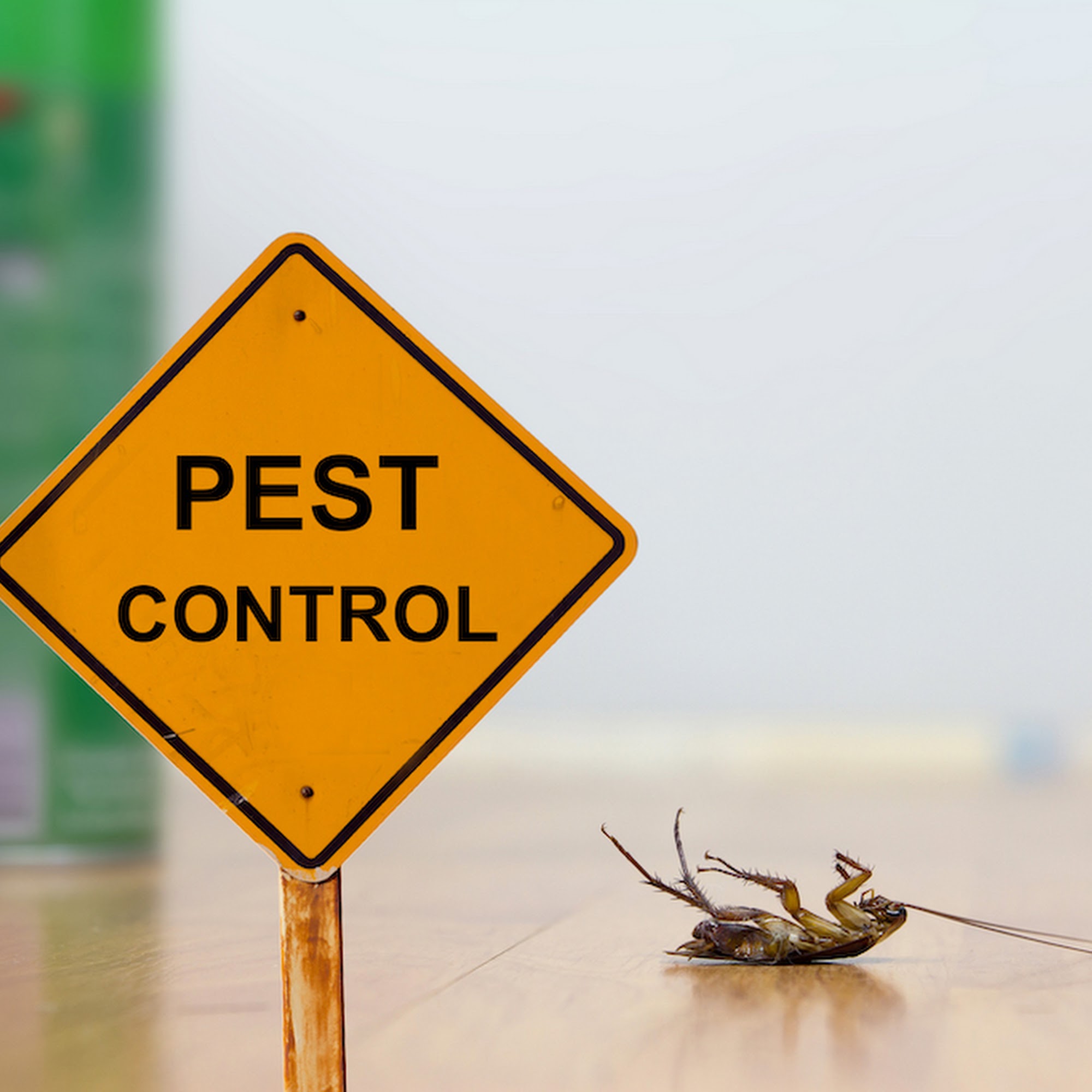 Pro Pest Control Exterminators