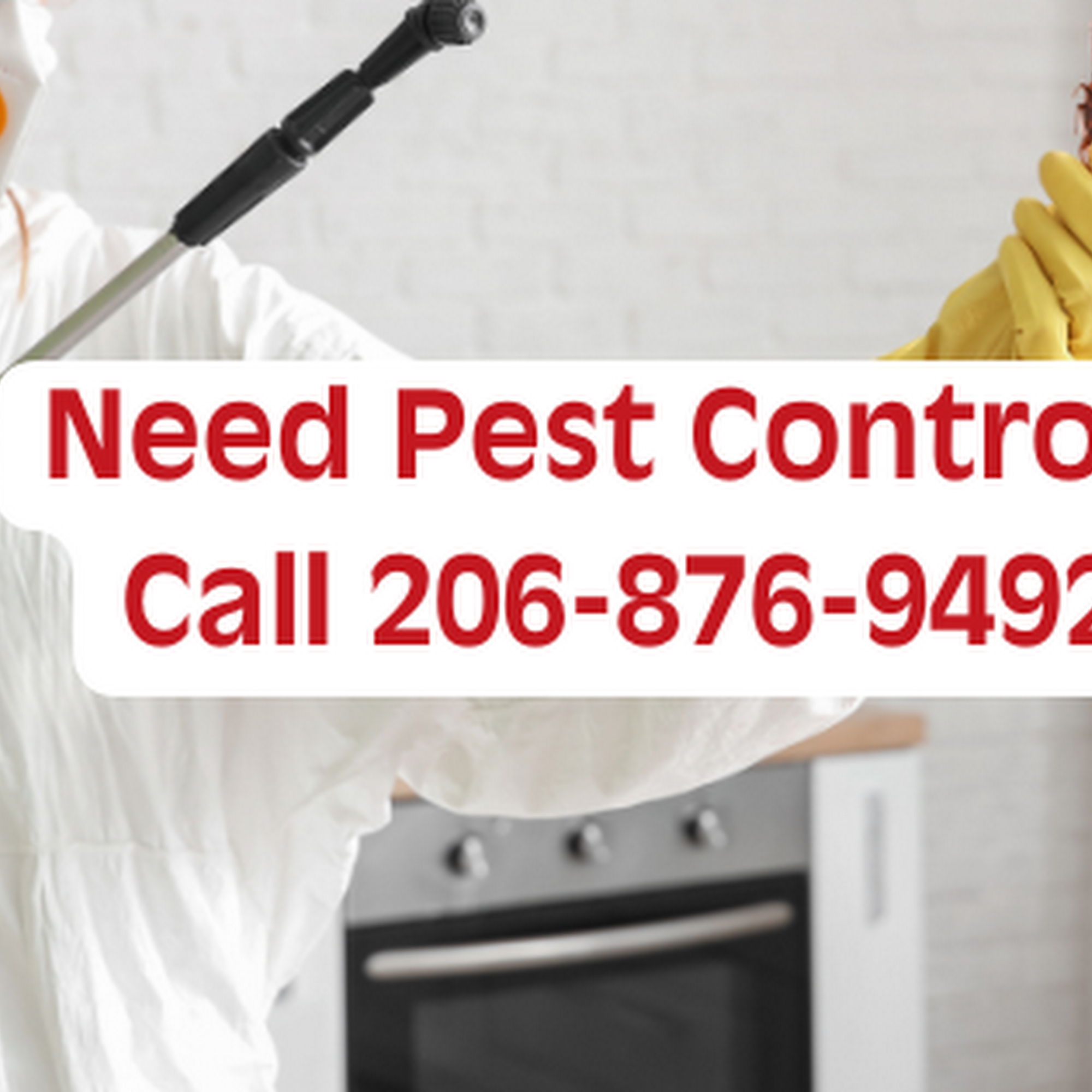 Pest Control Experts