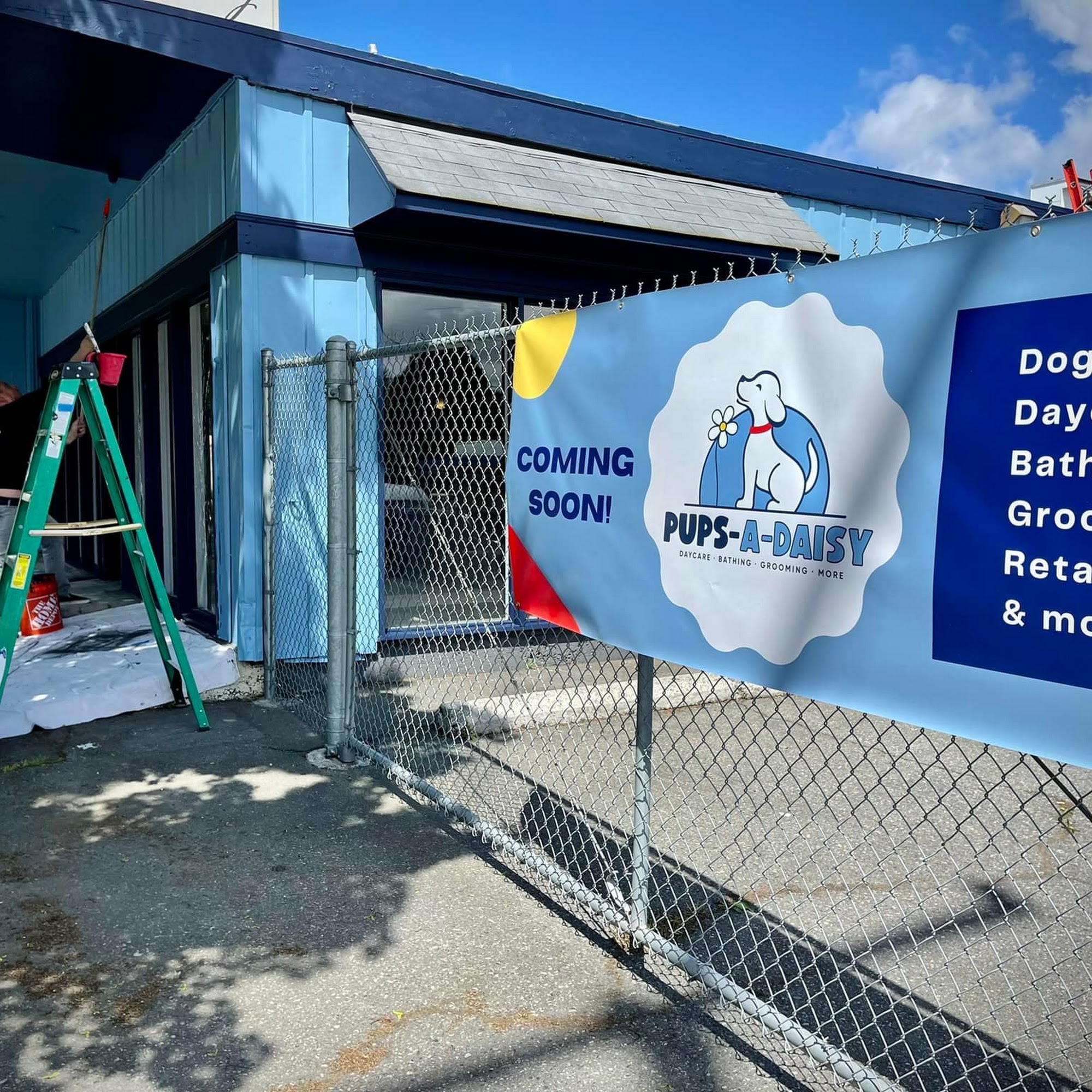 Pups-A-Daisy Seattle