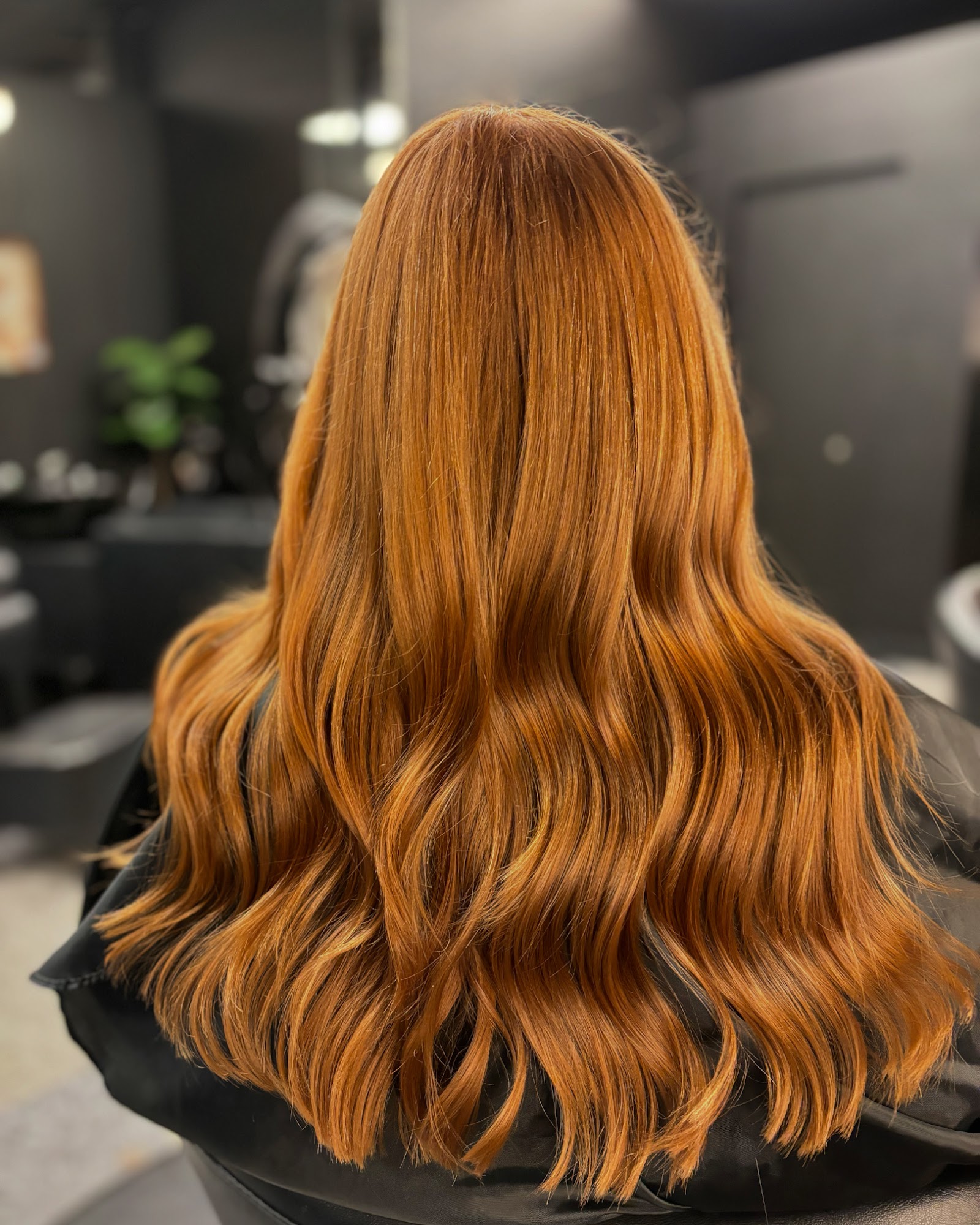 The Stone Fox Salon and Spa