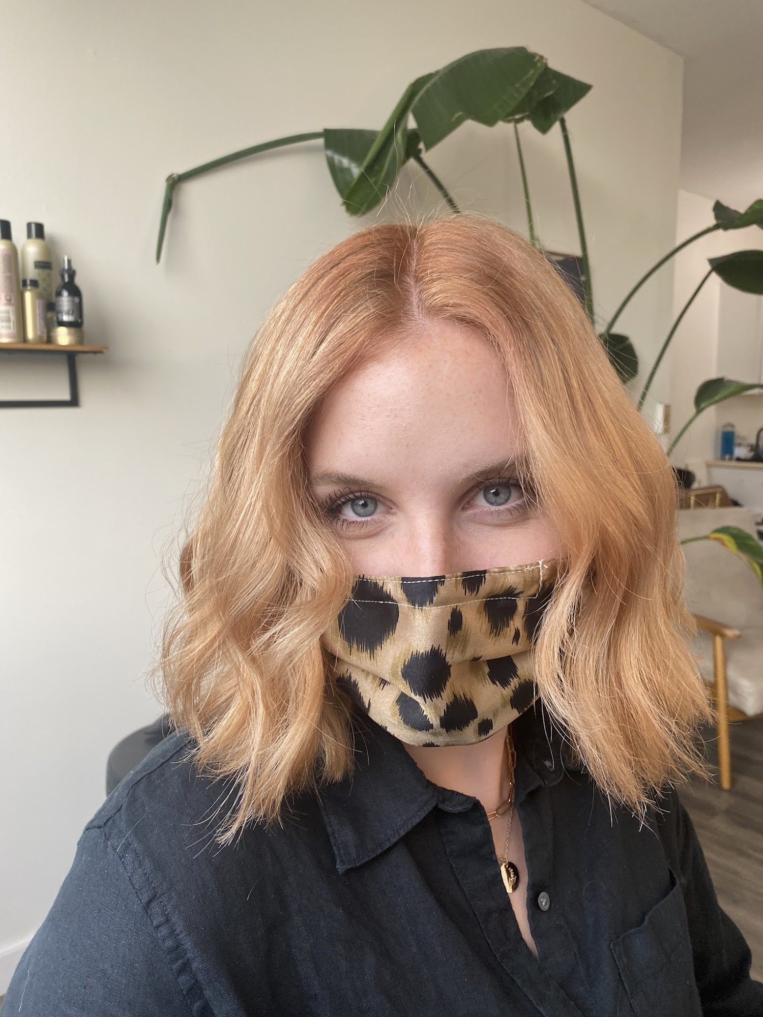 Apricus Salon 101 N 85th St Suite 203, Seattle Washington 98103