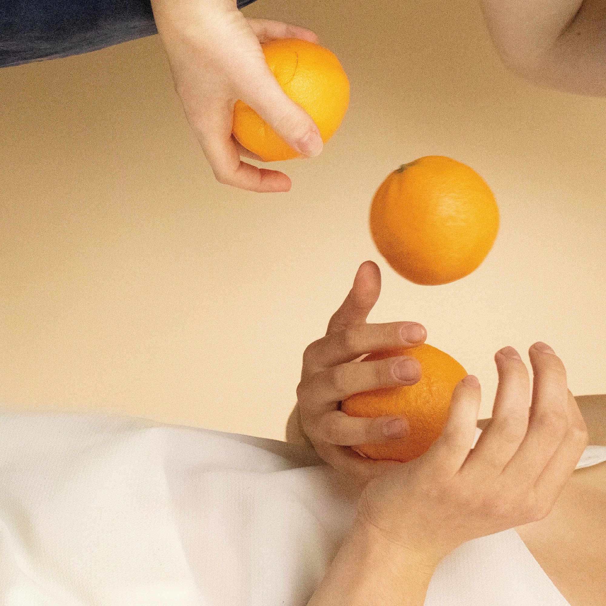 Beadle Bodywork 2351 10th Ave E, Seattle Washington 98102