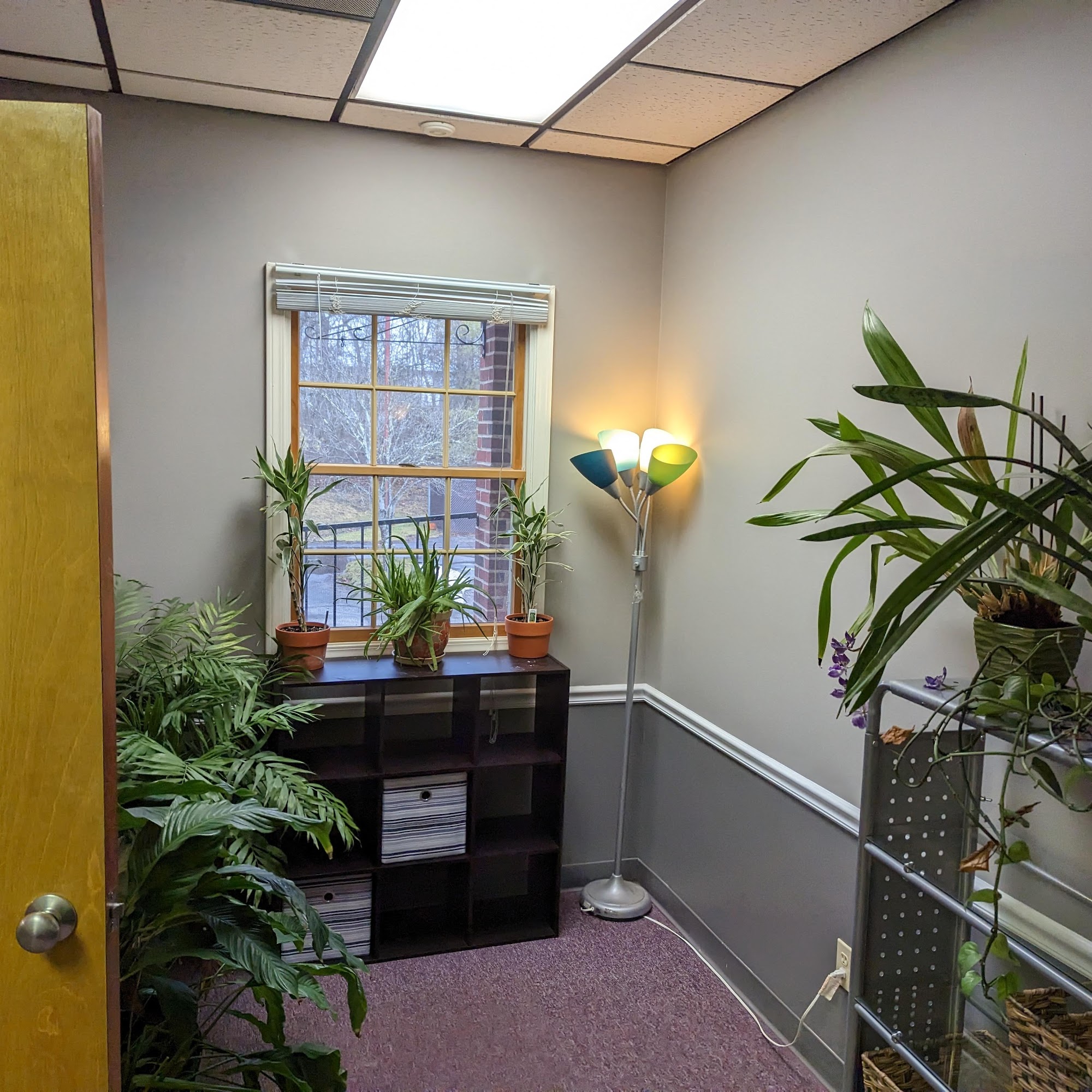 Loman Massage Therapy 3250 Airport Wy S #311, Seattle Washington 98134