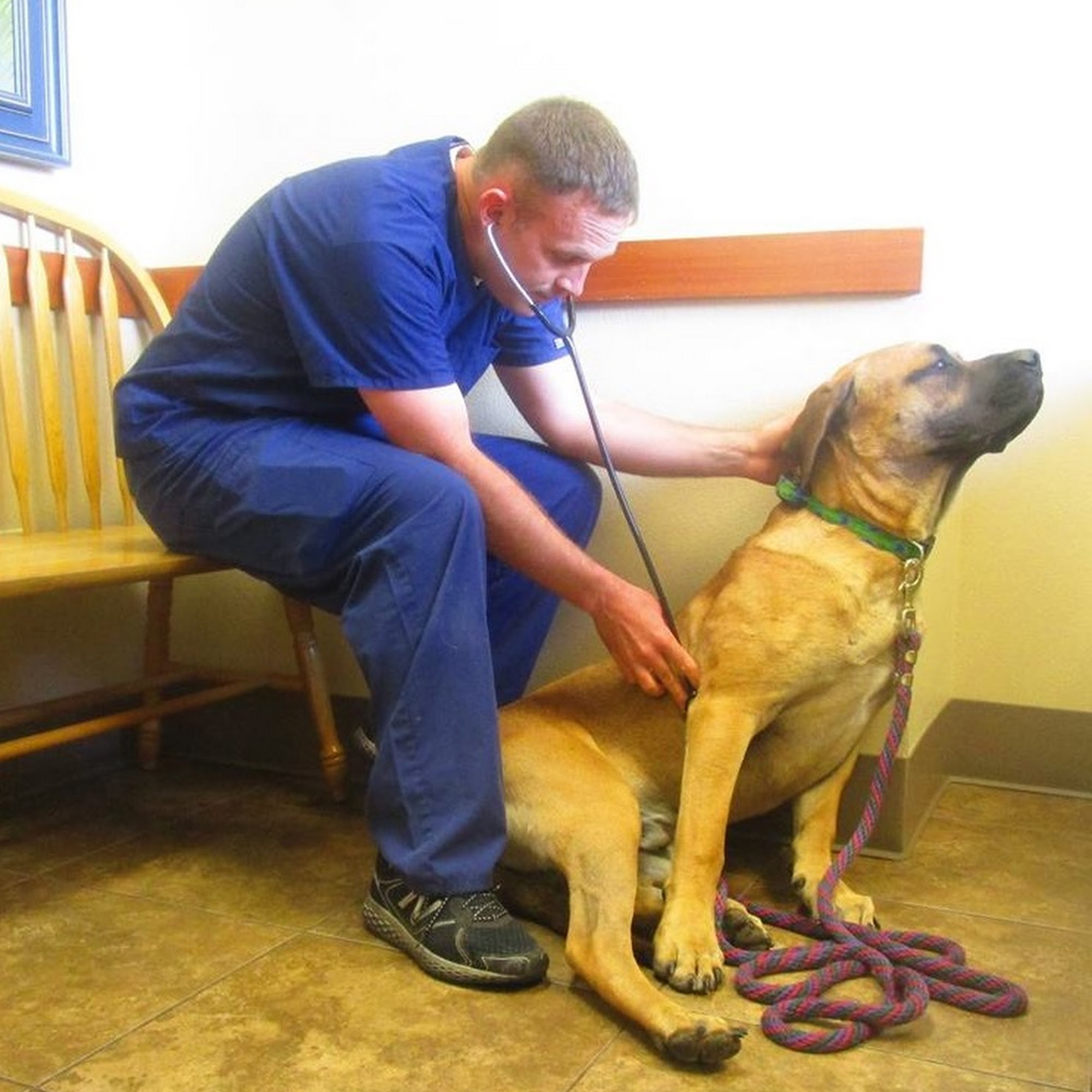 North Cascade Veterinary Hospital Sedro-Woolley