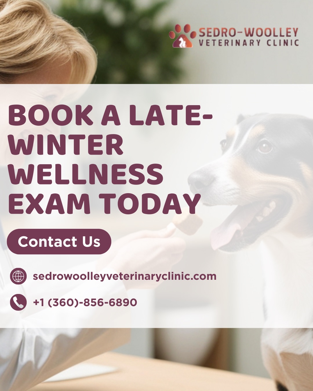 Sedro-Woolley Veterinary Clinic Sedro-Woolley